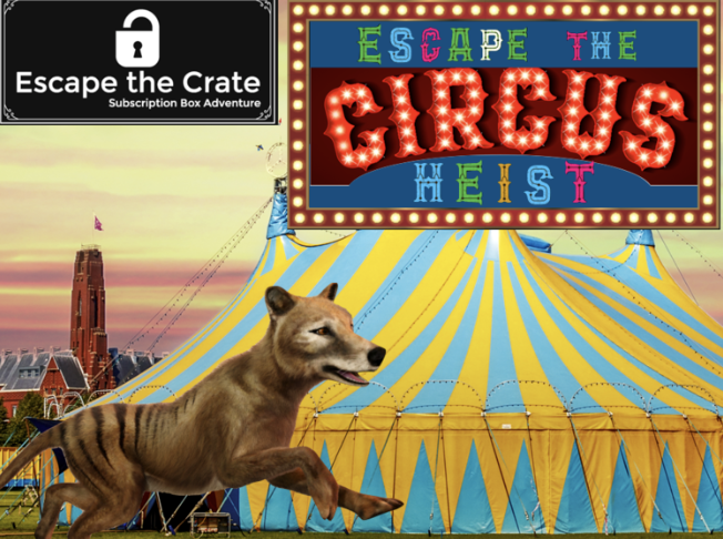 Game 20 -Escape the Circus Heist