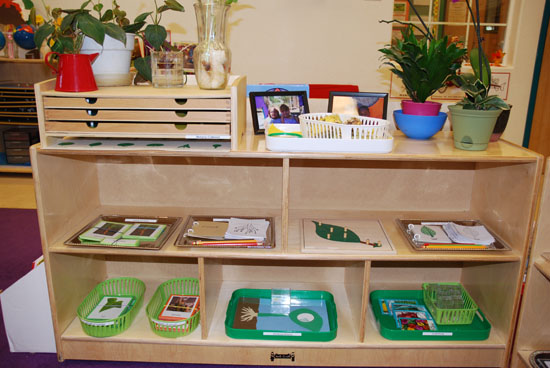 A TYPICAL BOTANY SHELF IN A MONTESSORI ENVIRONMENT