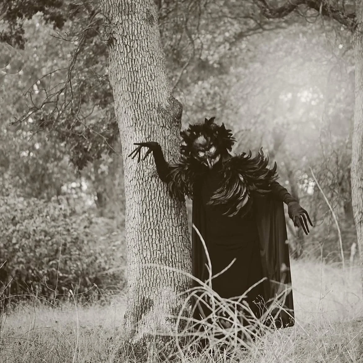 It&rsquo;s that time of year again, when I share photos I took of my dear friend, Helen aka The Raven Queen on my property a couple years ago. I first met Helen at church when I moved to Southern Oregon four years ago from Portland. What a hoot she i