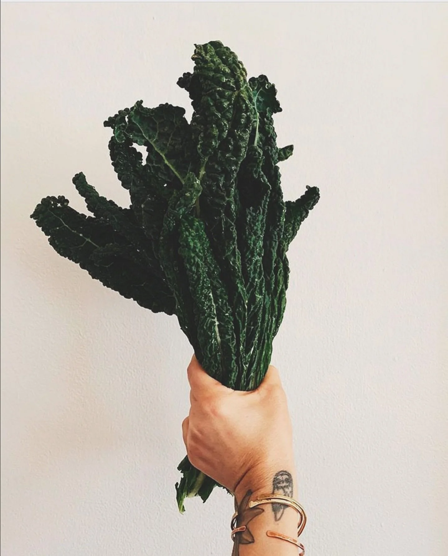 Eat your kale, people! And wear your PSJ Cuffs! - Life advice by Pamela 🥬✨😅

All jokes aside, I love this picture Andrea of @dearlittlewolves took long ago - such a joy to see my work on such an inspiring and beautiful soul!✨🤍

**Visit www.pamelas