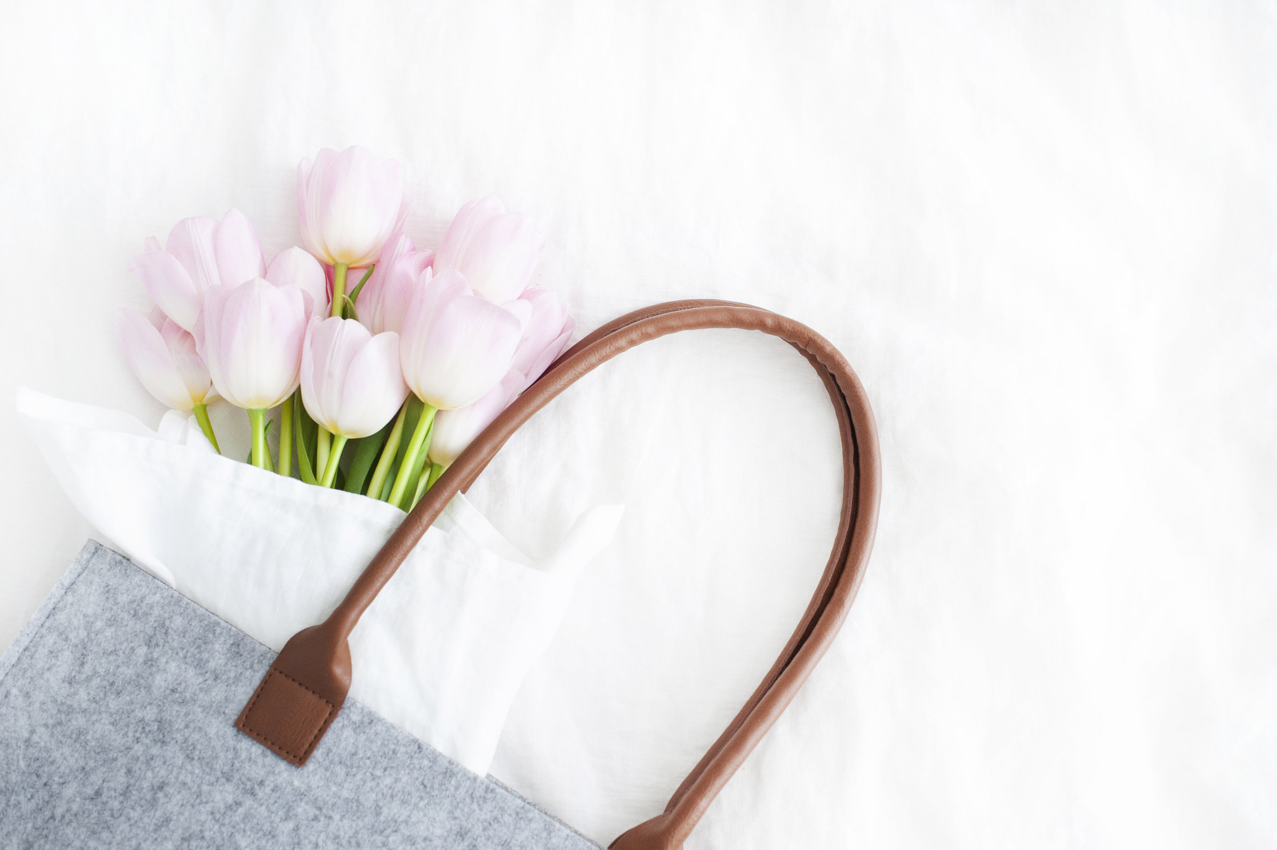 KATEMAXSTOCK – 5125.jpeg