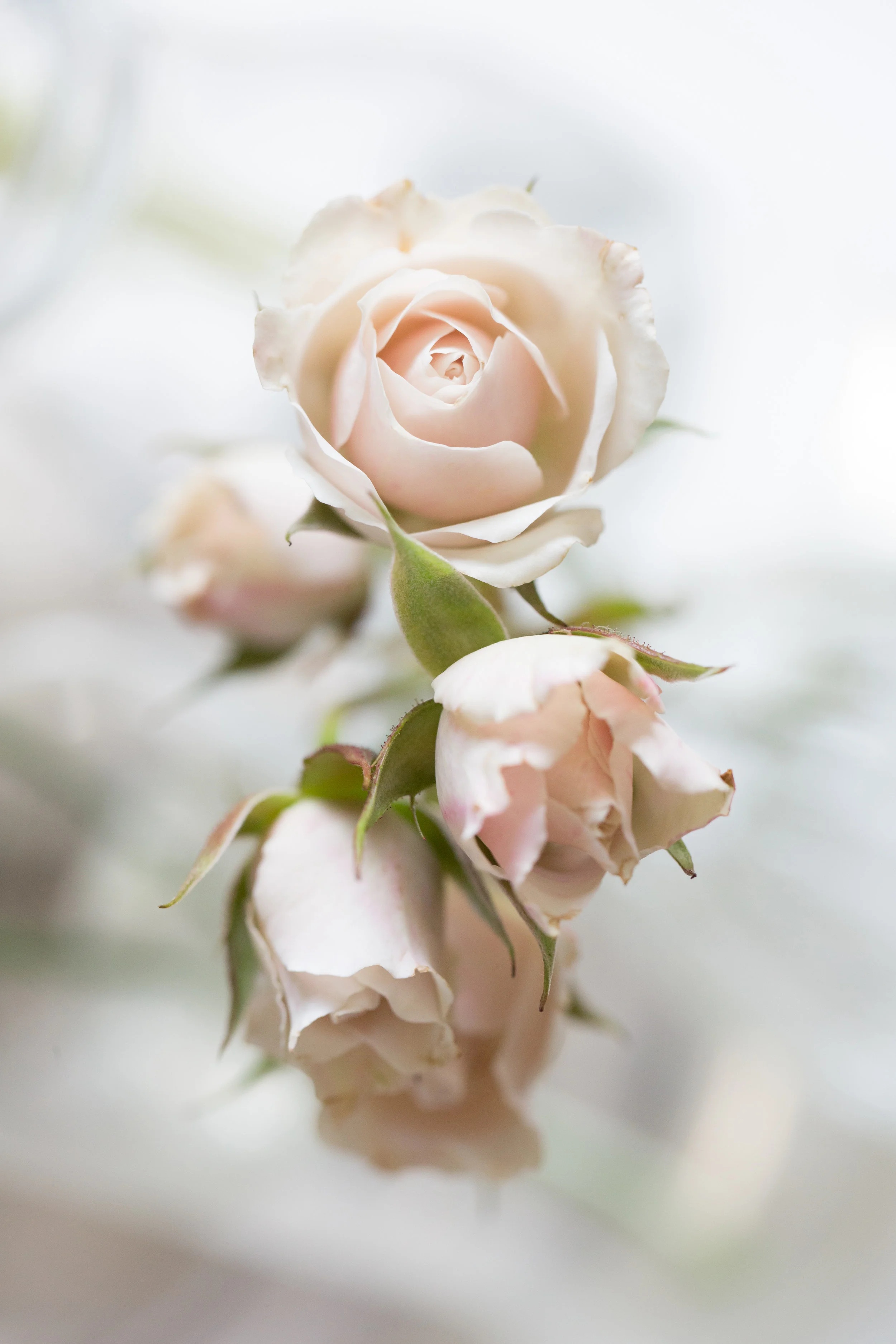 Quinsey Wedding_0719.jpg