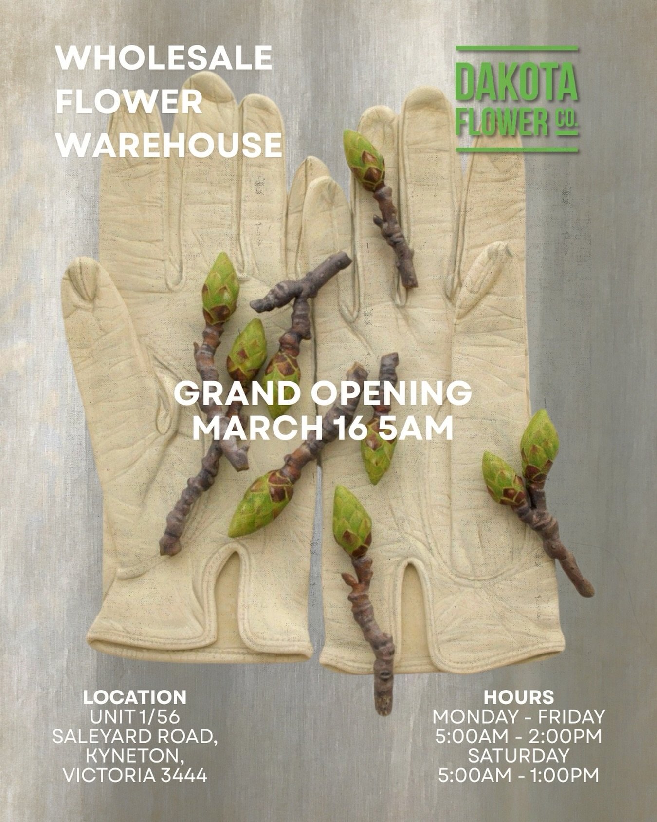 GRAND OPENING 💚 Monday 16th March, 5AM

We&rsquo;re excited to welcome you to the NEW Dakota Flower Company Wholesale Flower Warehouse!

Location:
Uni 1/56 Saleyard Road, Kyneton, Victoria 3444

Hours:
Monday to Friday: 5:00AM - 2:00PM
Saturday: 5AM