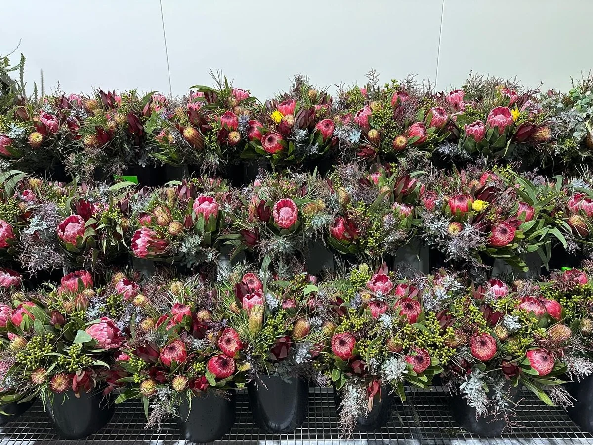 Picked today, ready for you 💚 Dakota Flower Company Warehouse

Location:
Unit 1/56 Saleyard Road, Kyneton, Victoria 3444

Hours:
Monday to Friday: 5:00AM - 2:00PM
Saturday: 6AM - 12:00PM

#DAKOTAflowers #WholesaleFlowers #Flowers