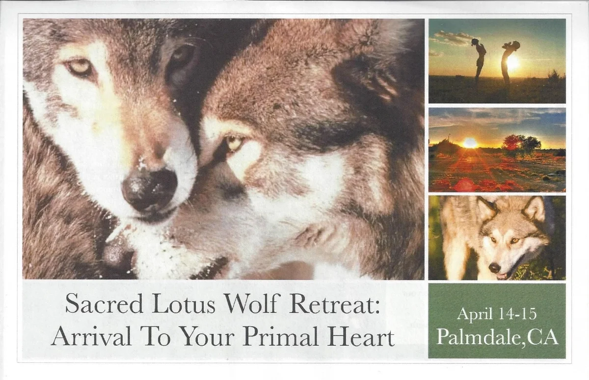 Sacred Lotus Wolf Retreat flyer.jpg