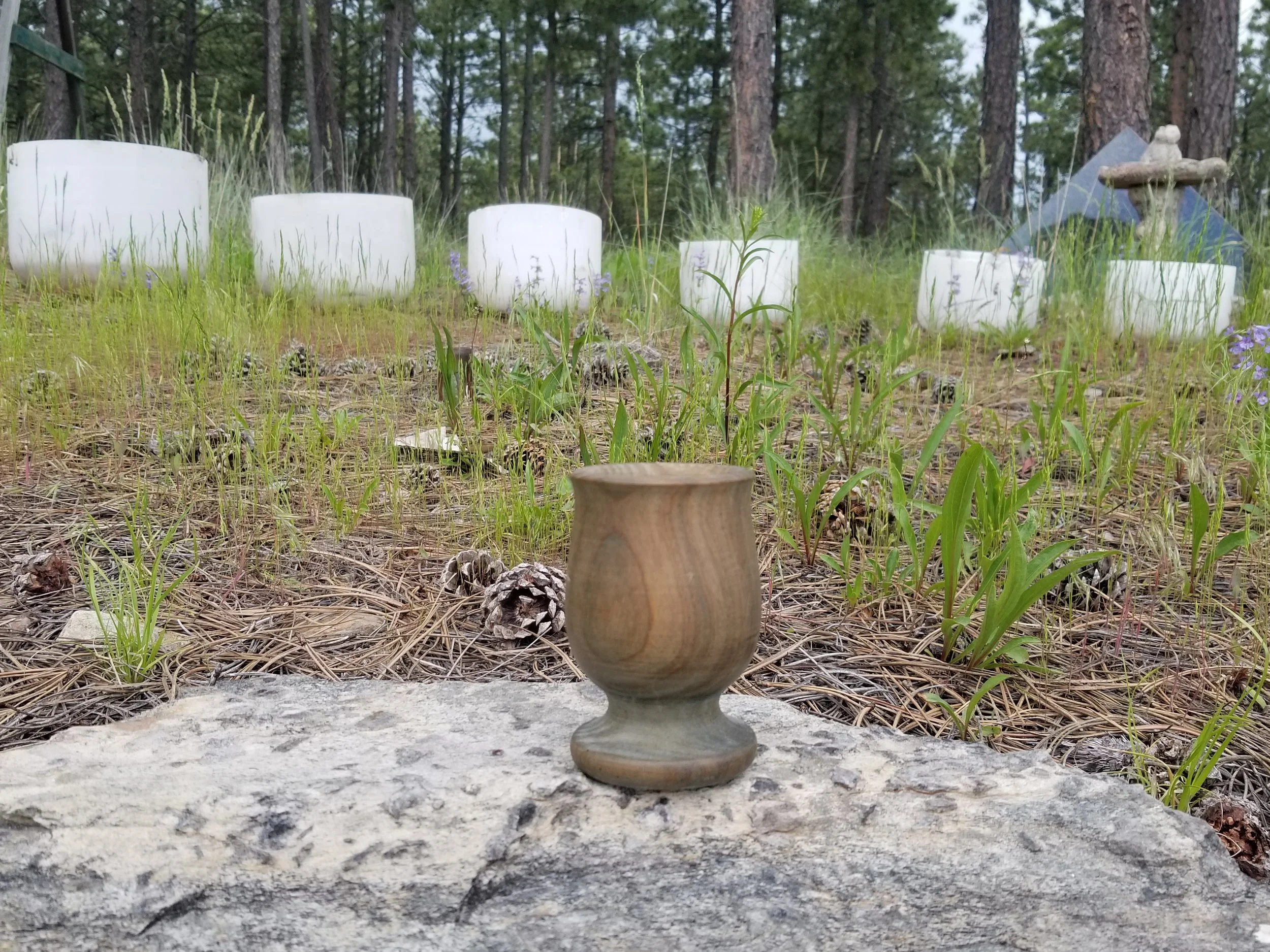 20190620_182326.jpg
