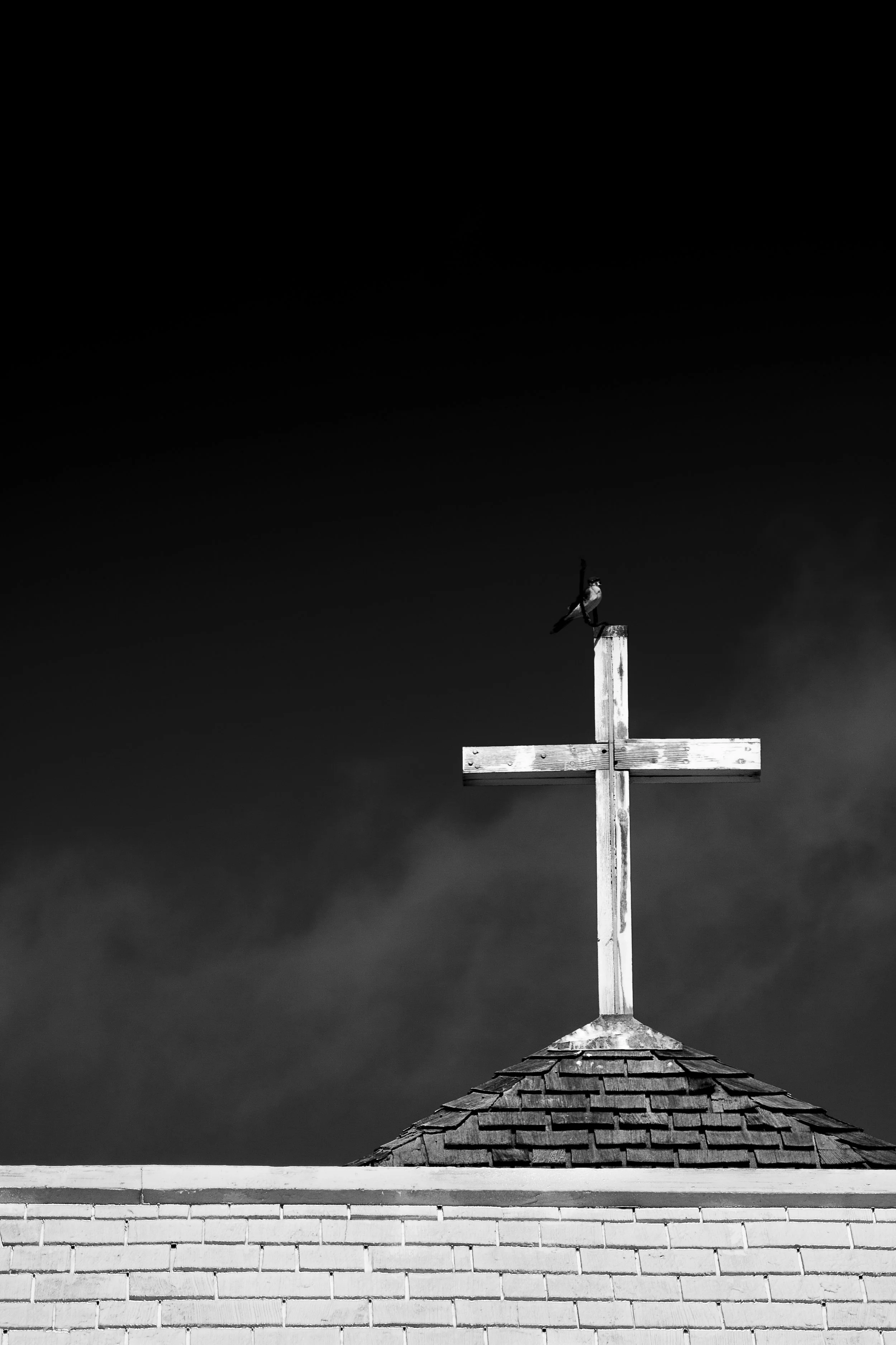 IMG_2967-Edit-2.jpg