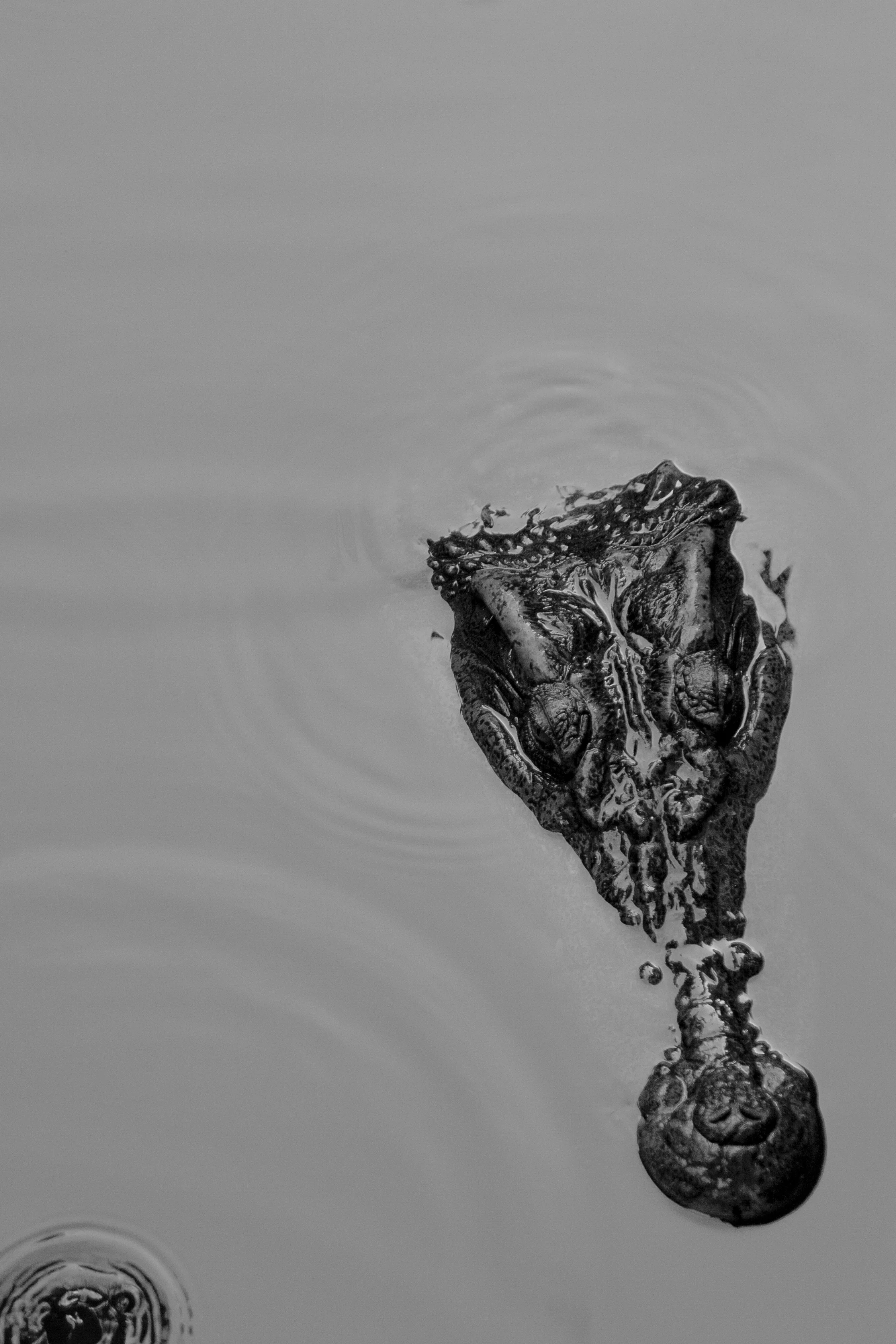 IMG_6841-Edit-3-Edit.jpg