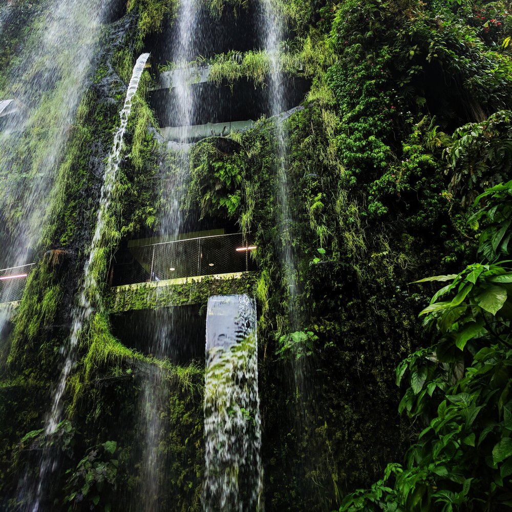 Waterfall at the Cloud Forest