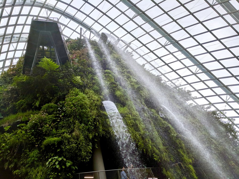 Waterfall at the Cloud Forest