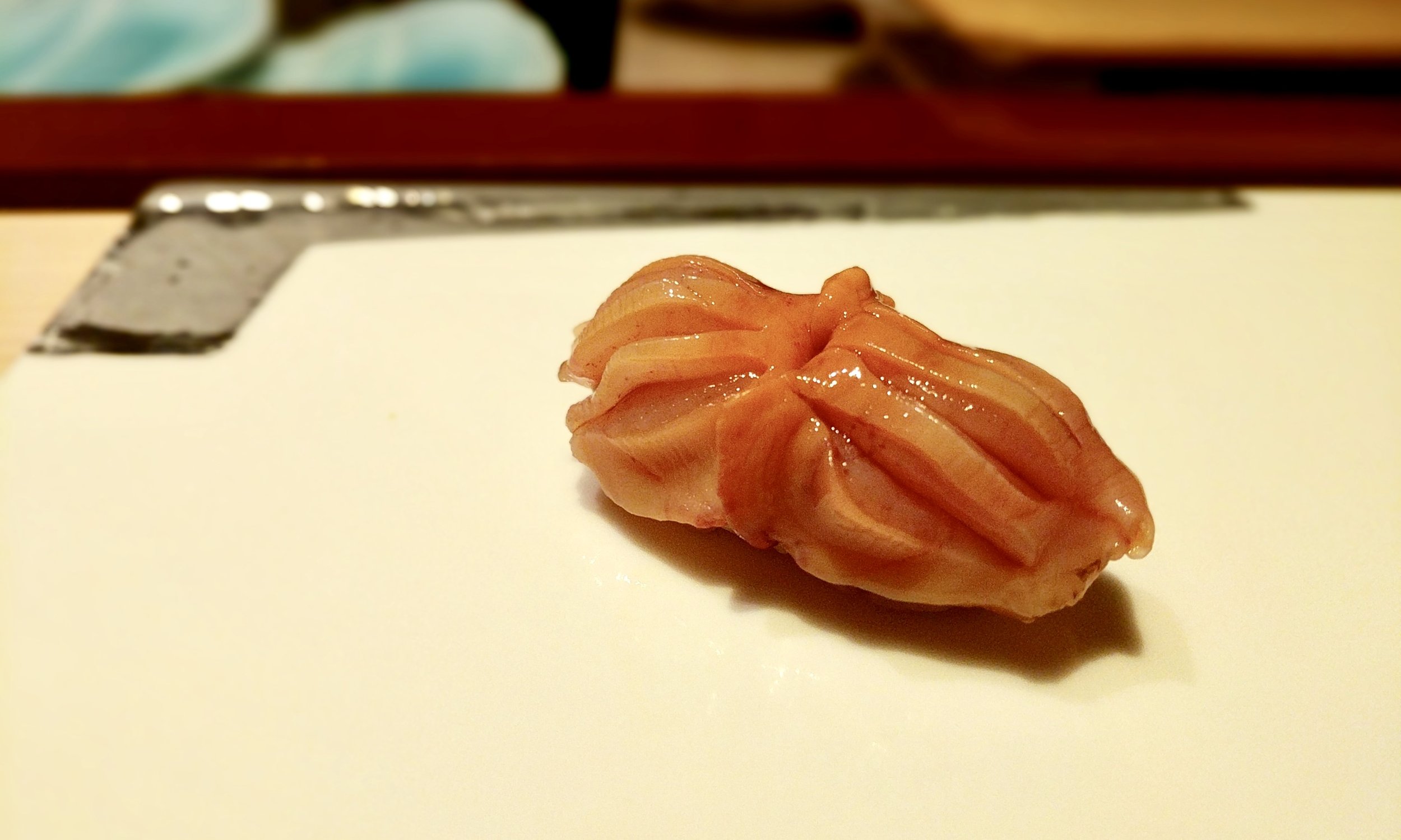 Arc Shell