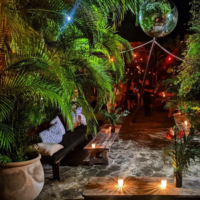 Tulum is filled with #jungle themed decor. It's a #green thirst trap 🤤