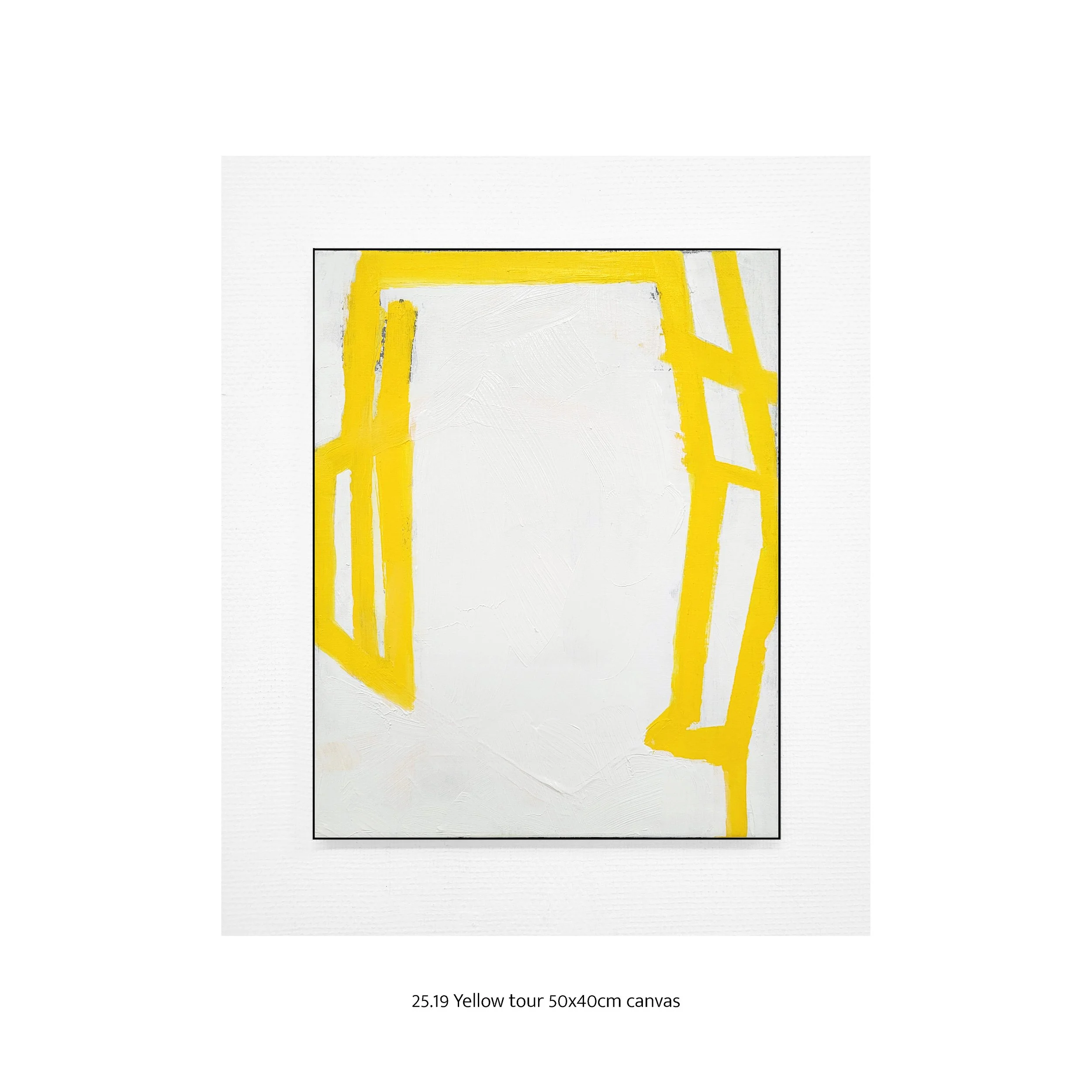 25.19 Yellow tour 50x40cmB.jpg