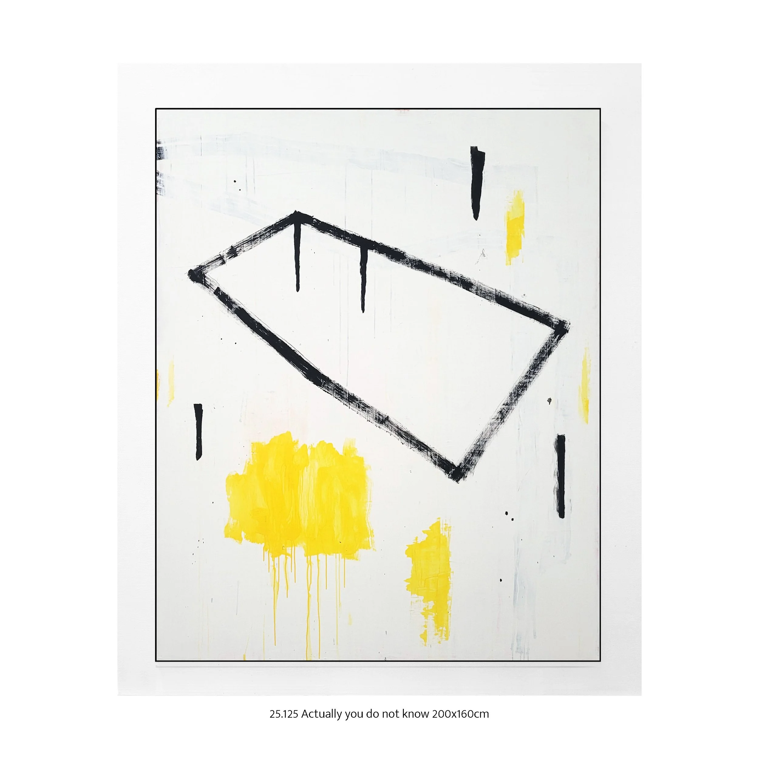 25.125 Actually you do not know 200x160cm.jpg