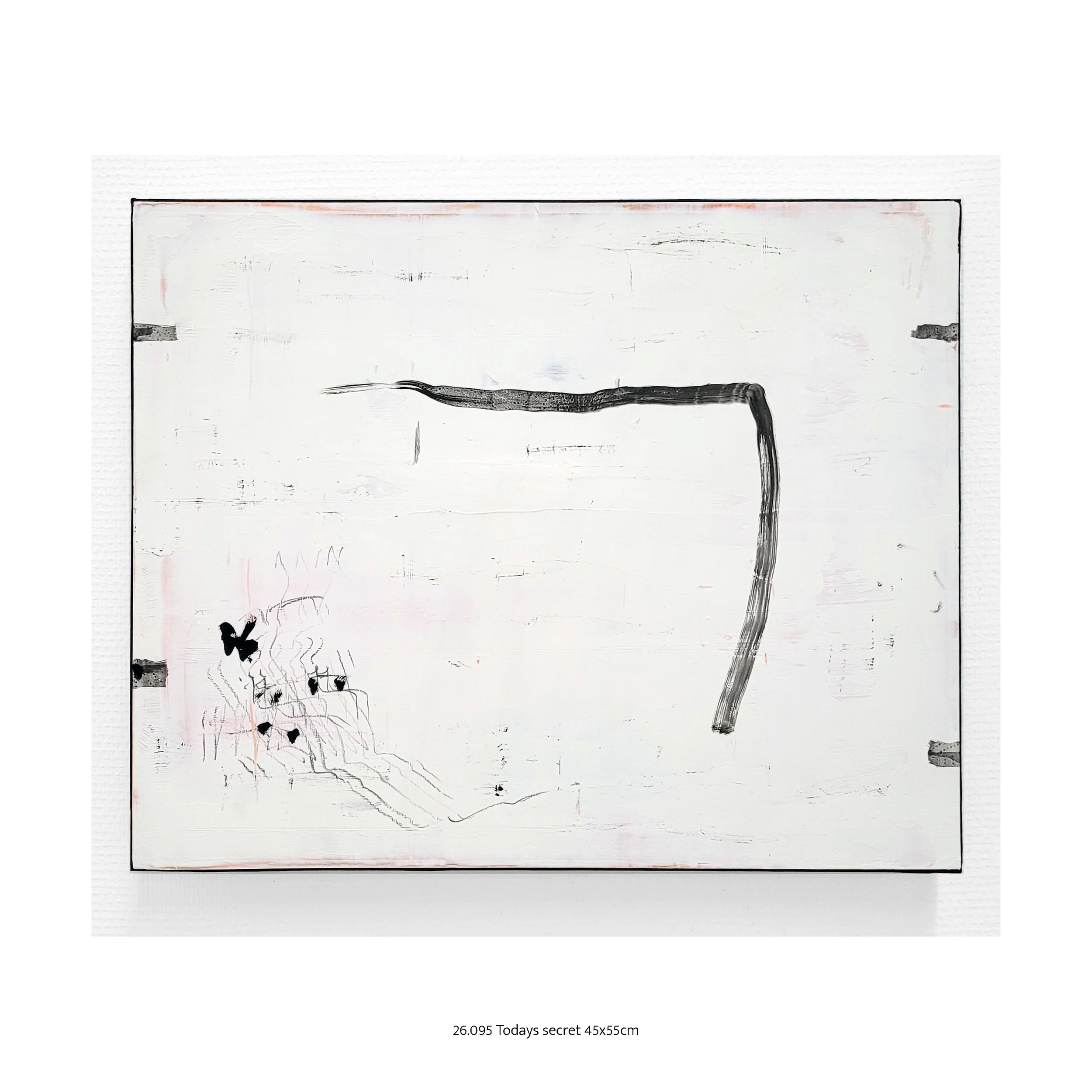 26.095 Todays secret 45x55cm.jpg