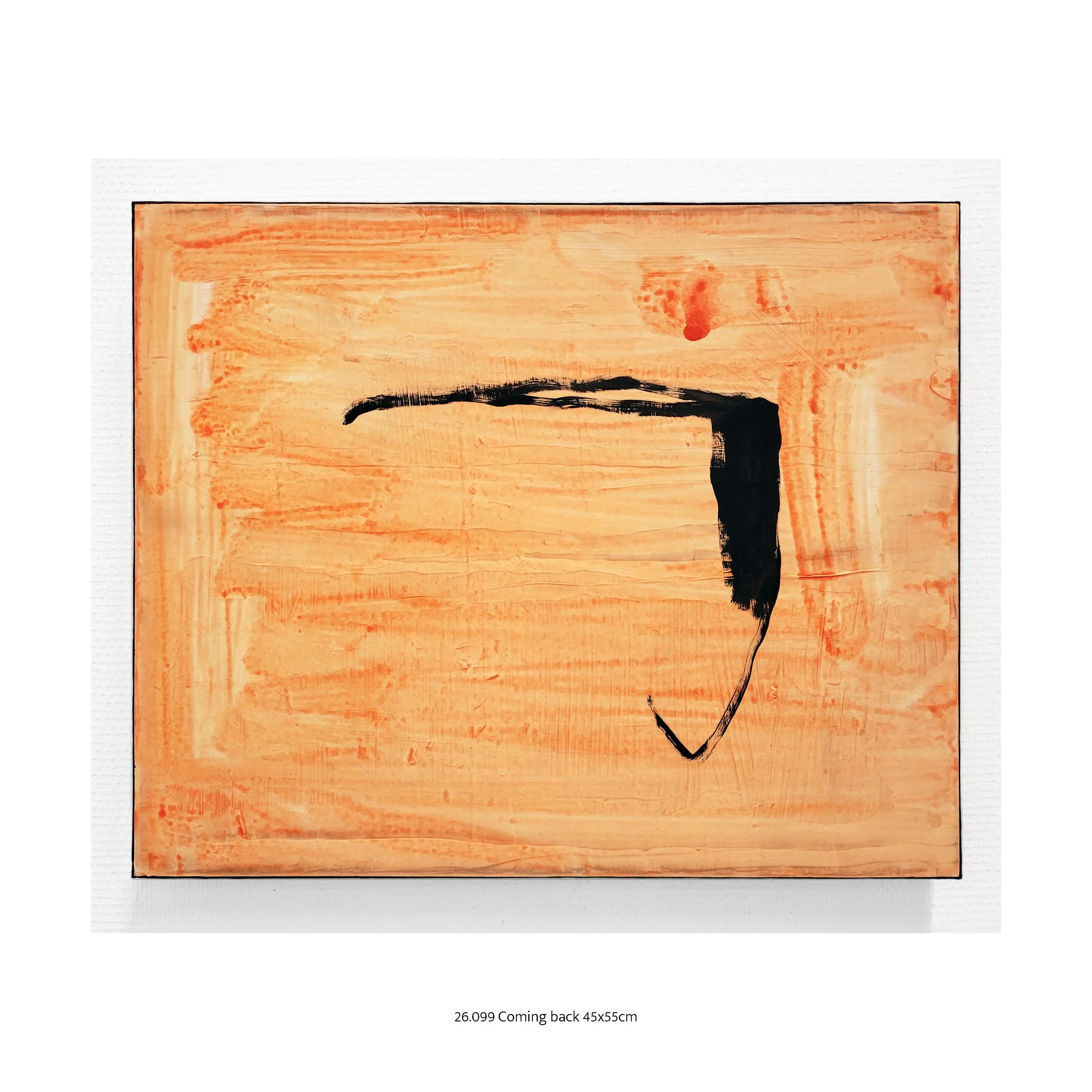 26.099 Coming back 45x55cm.jpg