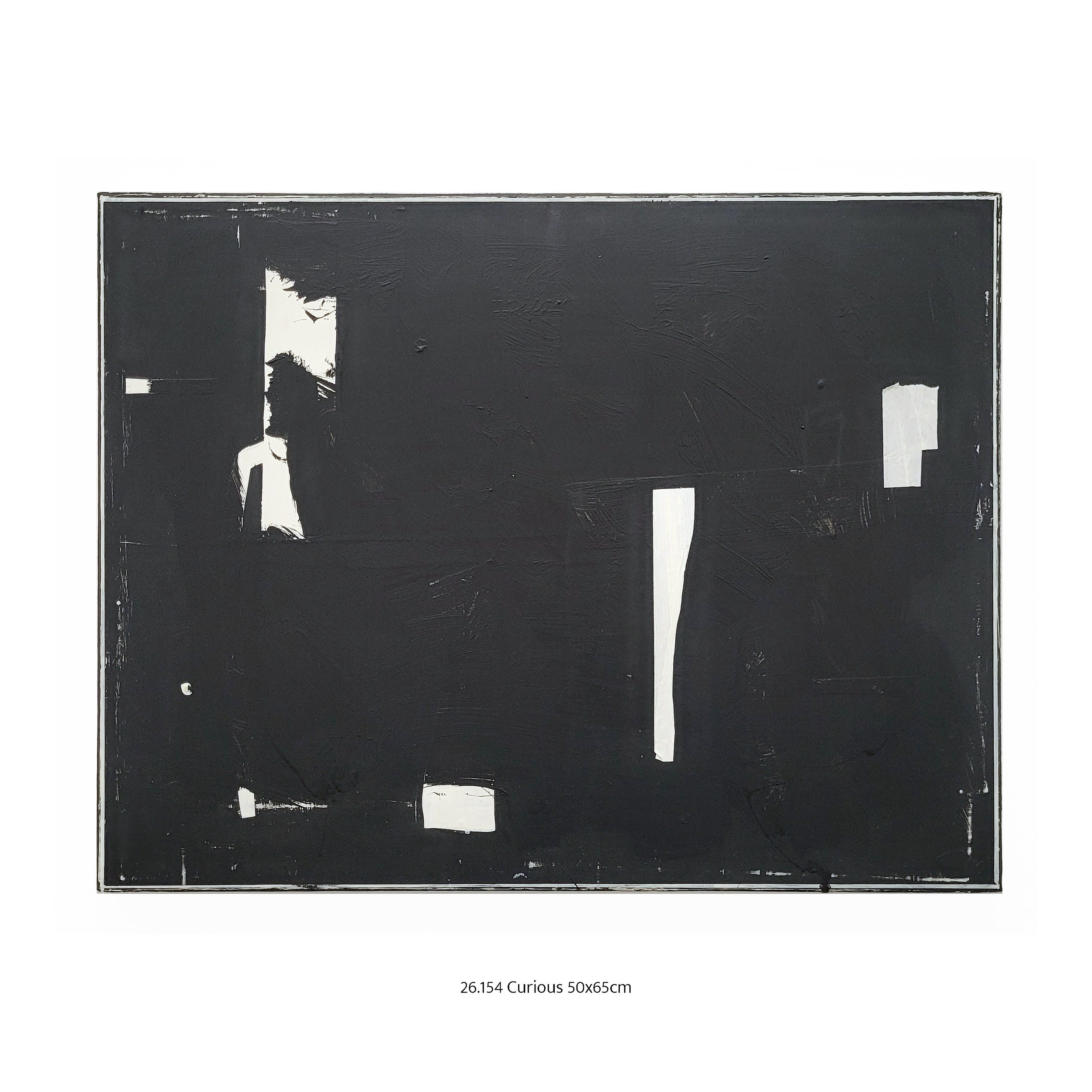 26.154 Curious 50x65cm.jpg