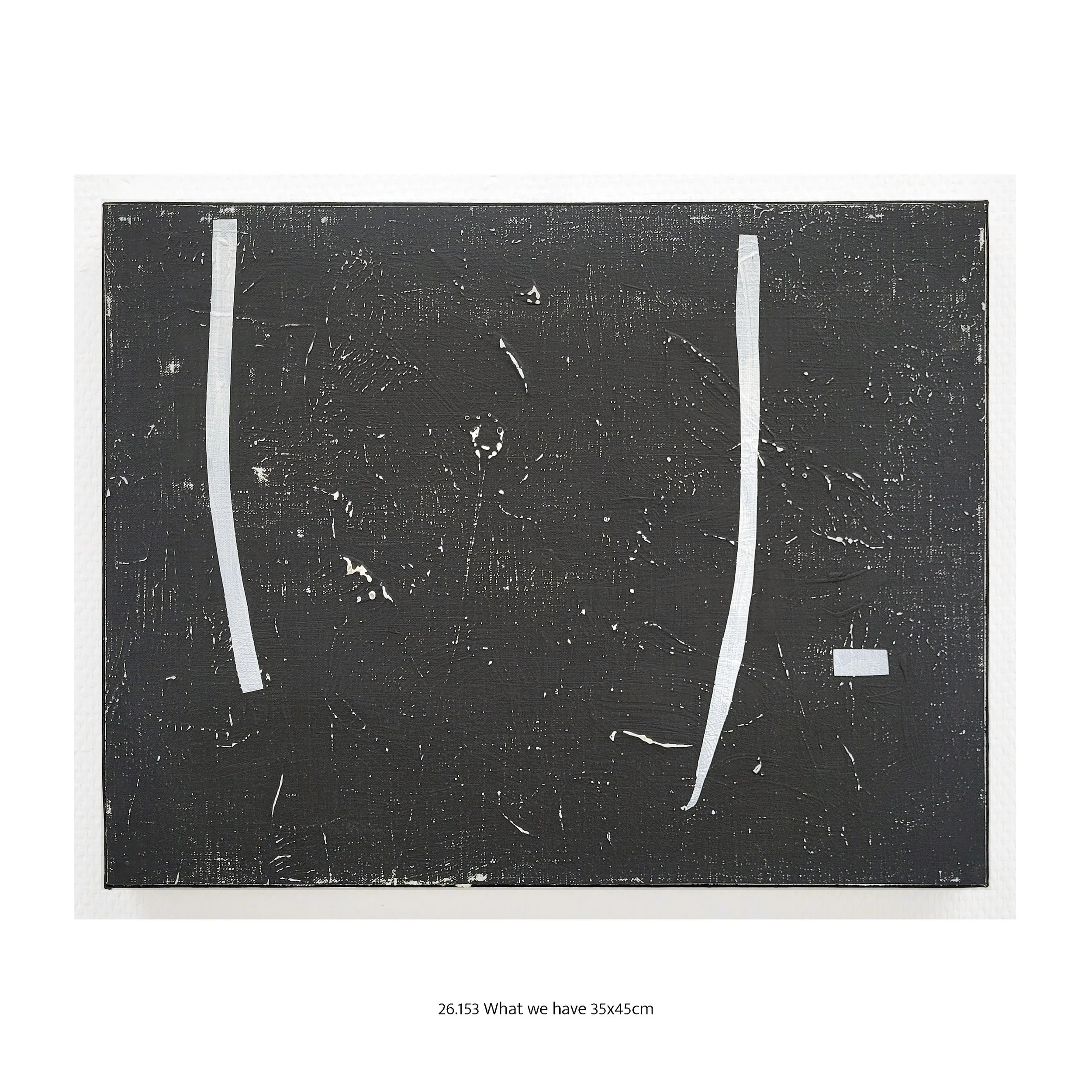 26.153 What we have 35x45cm.jpg