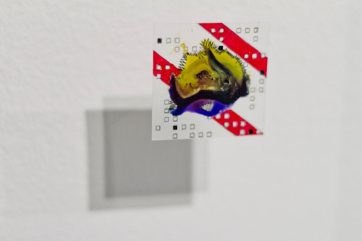 The Micro Cosmos (Individual)