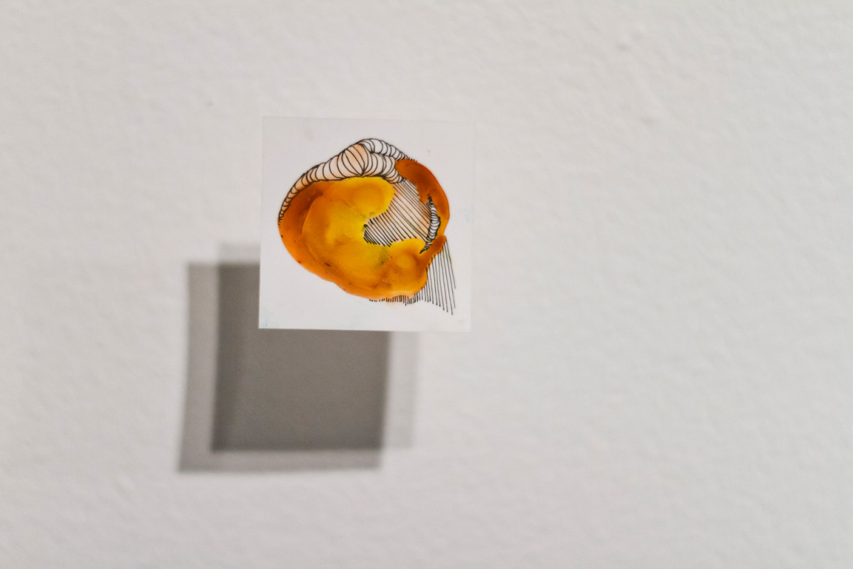 The Micro Cosmos (Individual)