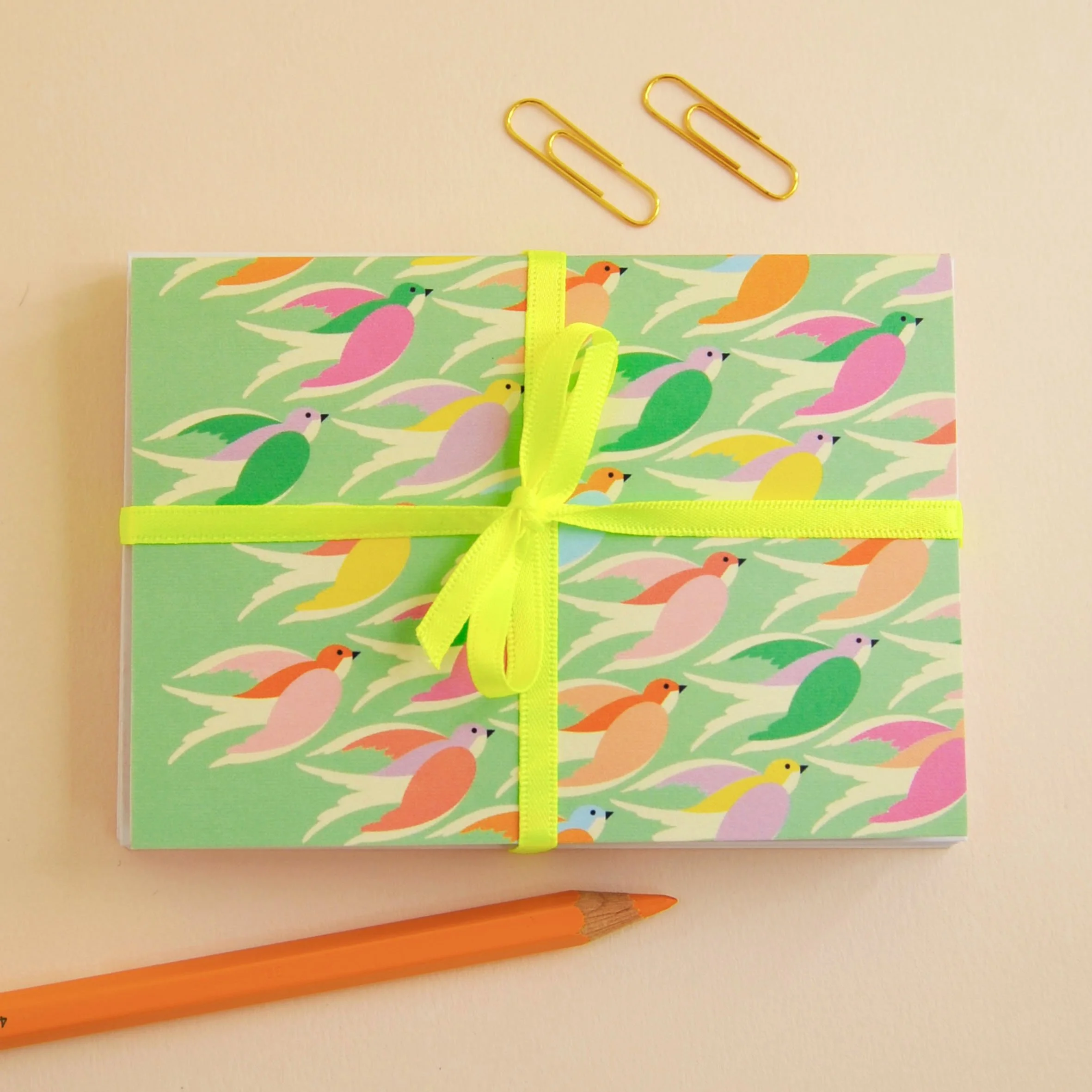 Birds Illustrated Notecard Pack