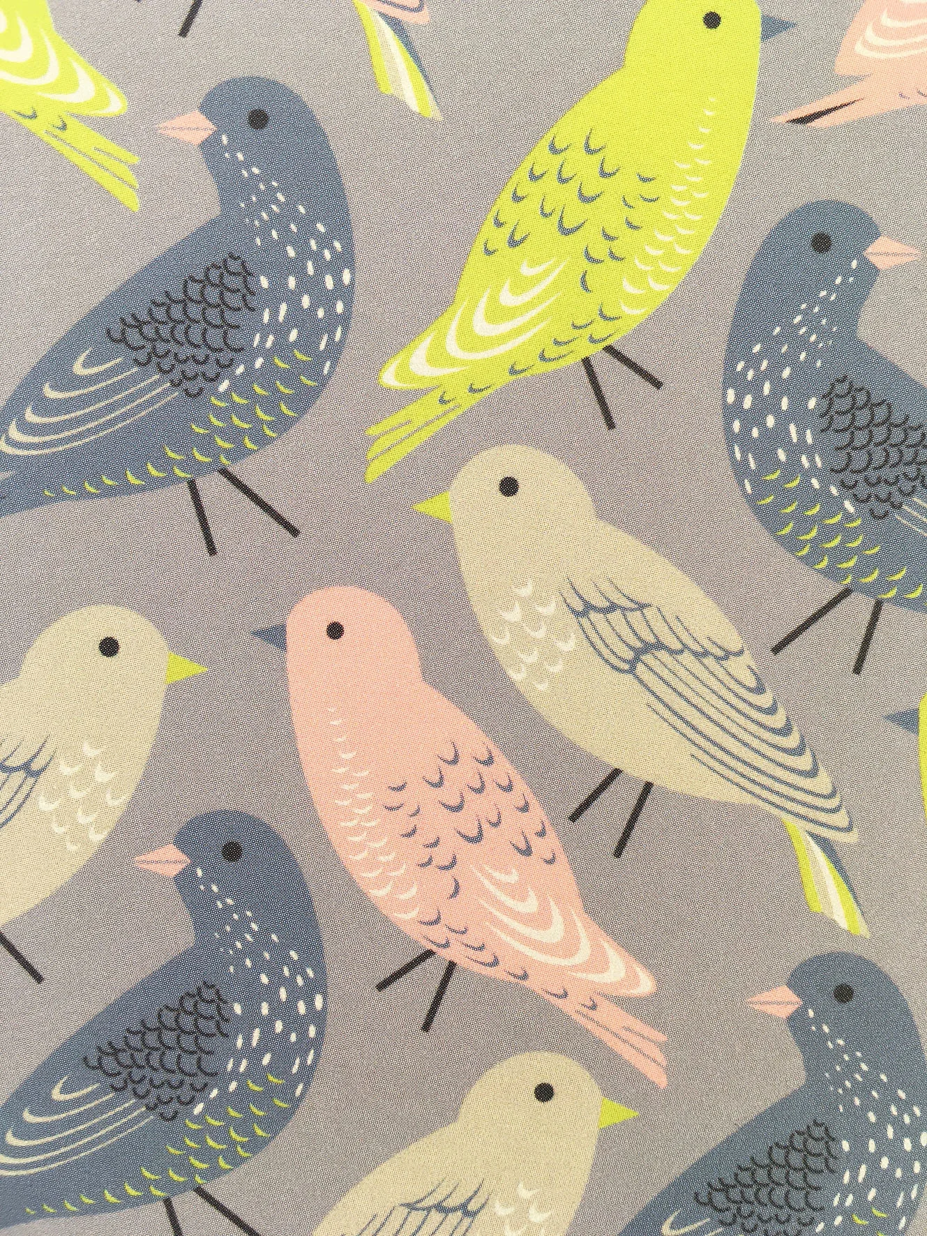Bird card 006 close up.jpg