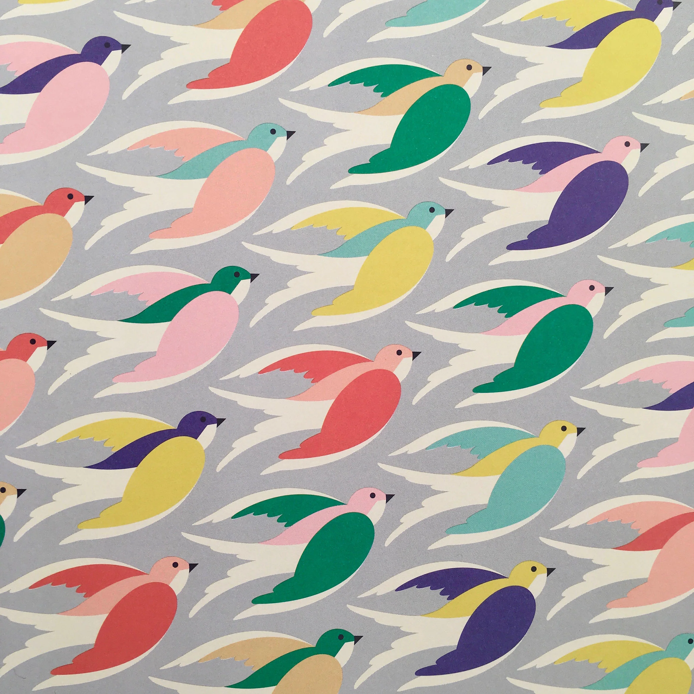Bird wrap 005 - Close-up.jpg