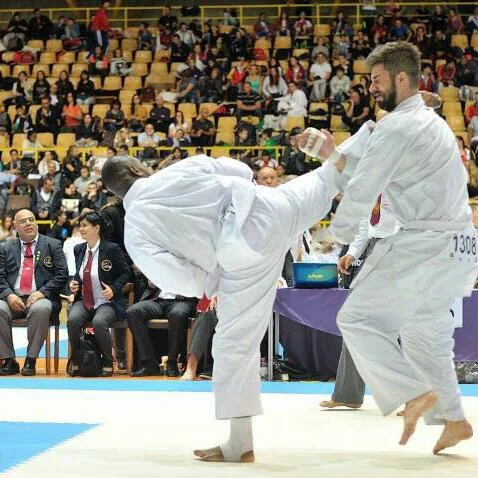 karate1.jpg