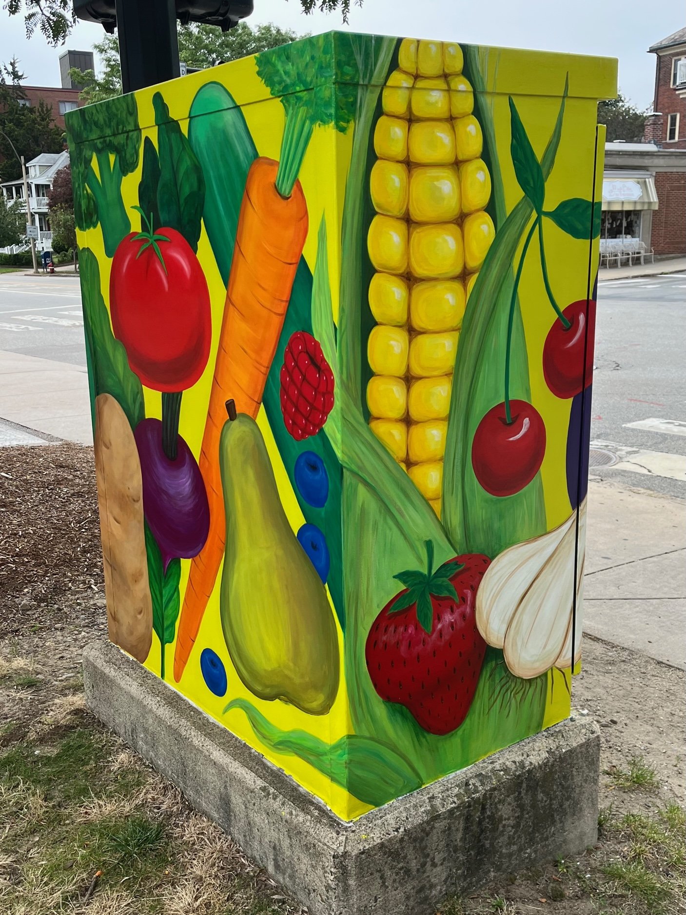 Utility Box in Arlington, Ma