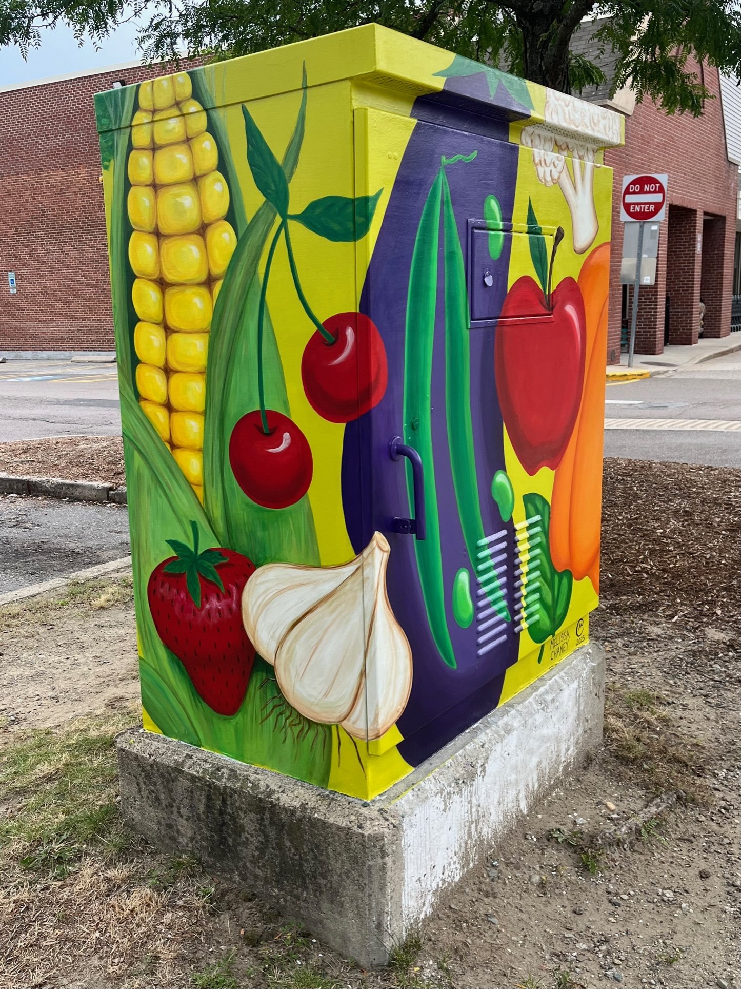 Utility Box in Arlington, Ma