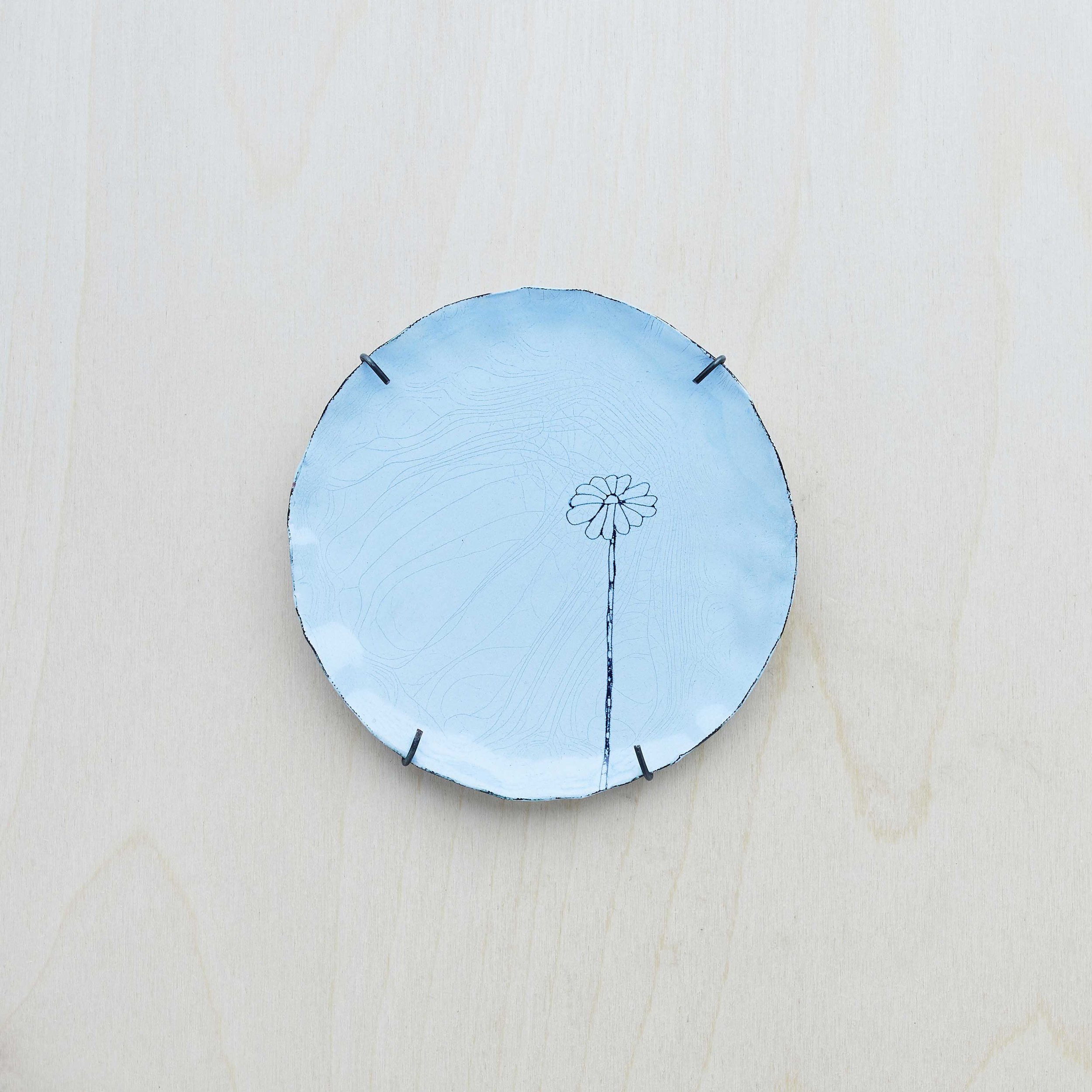plate_bluedaisy_low.jpg