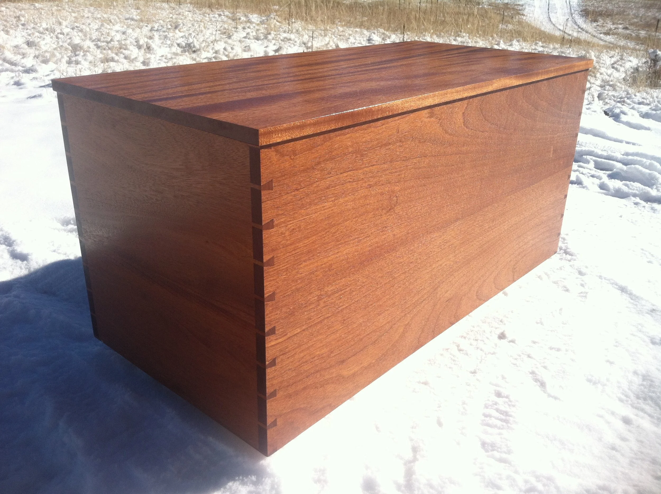 Mahogany Sea Chest