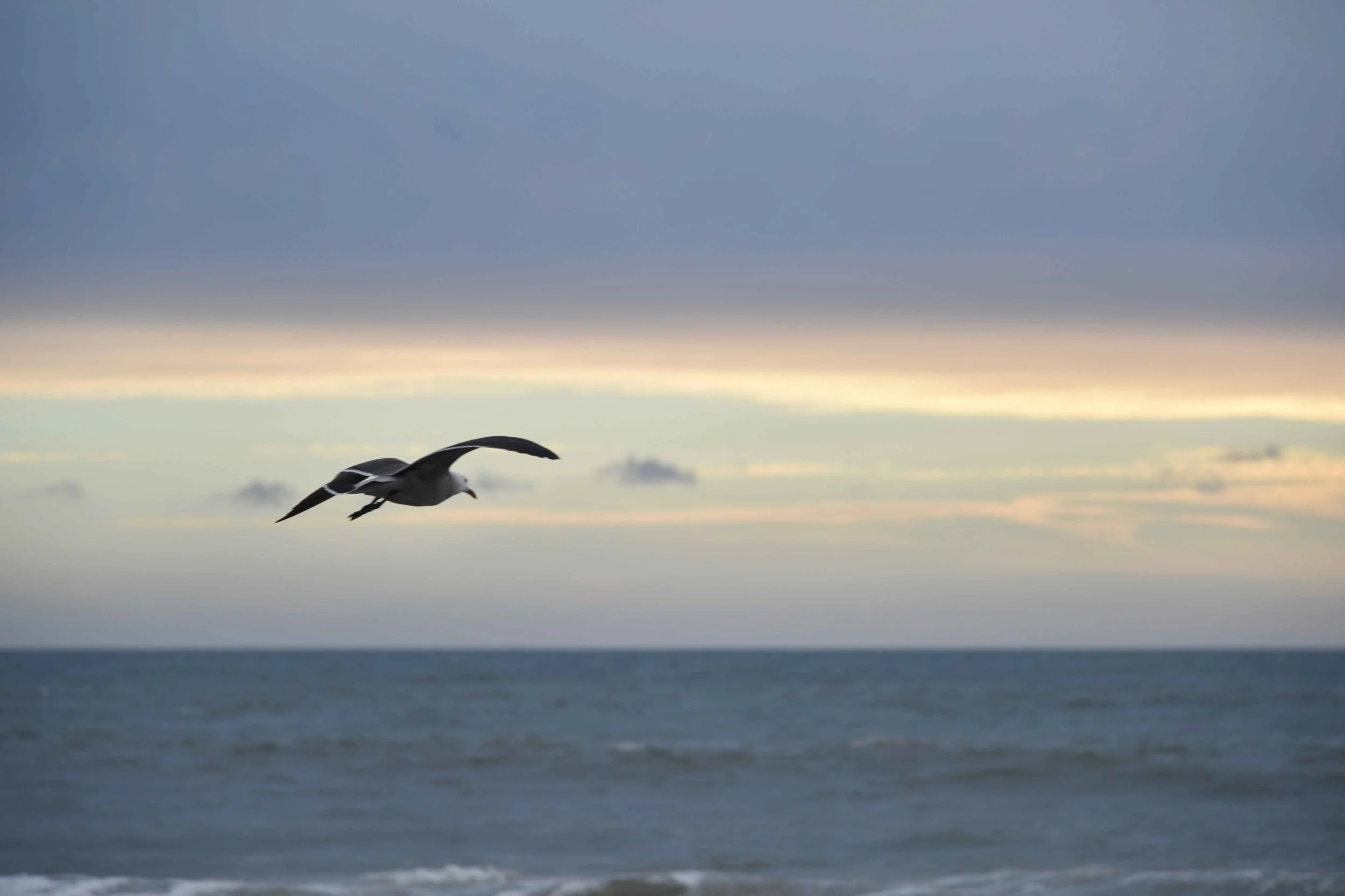 Pacific Coast Highway Beach, Pacific Palisades, CA. Image©thingstodot.com