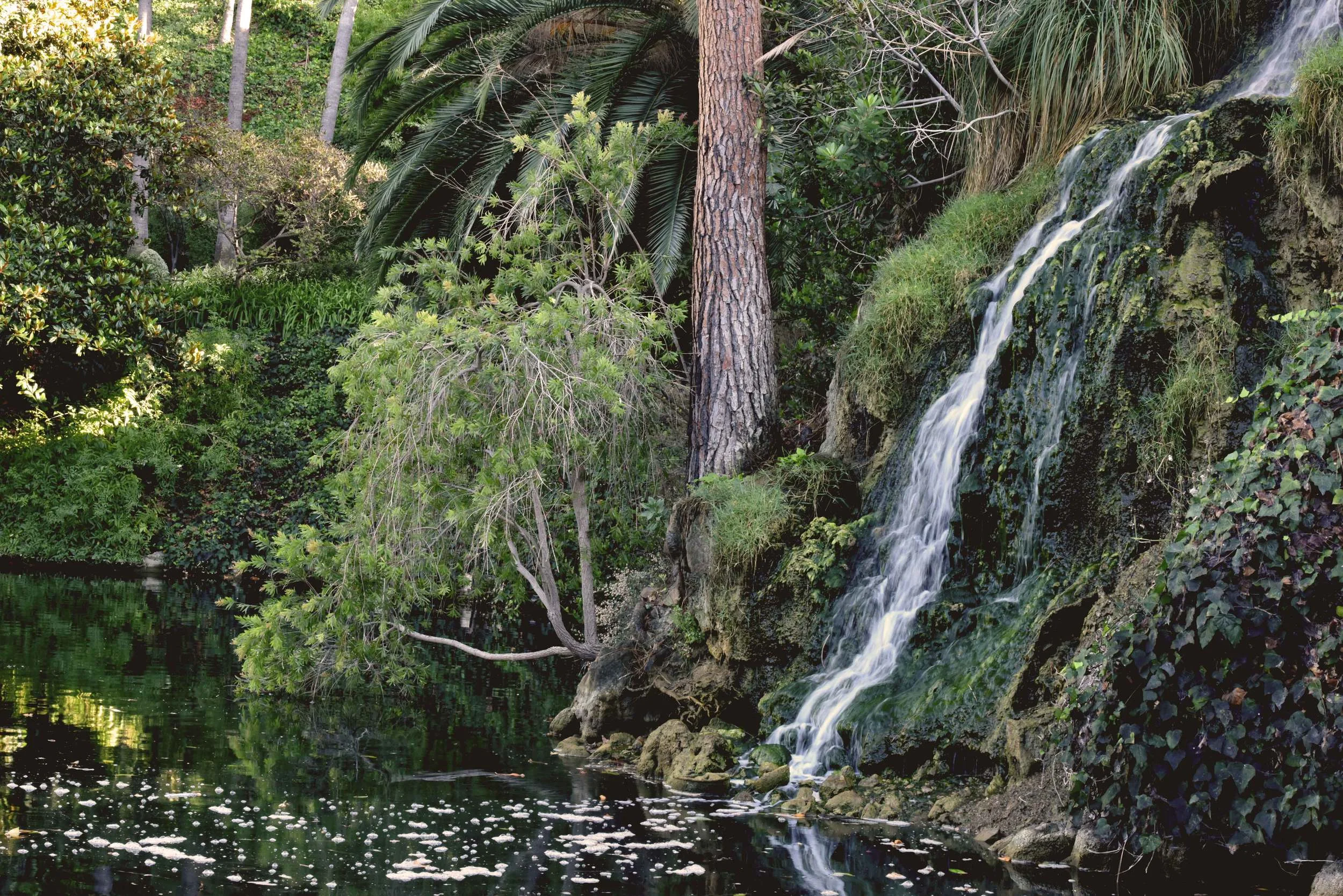  SRF Lake Shrine gardens, Pacific Palisades, CA. Image©thingstodot.com
