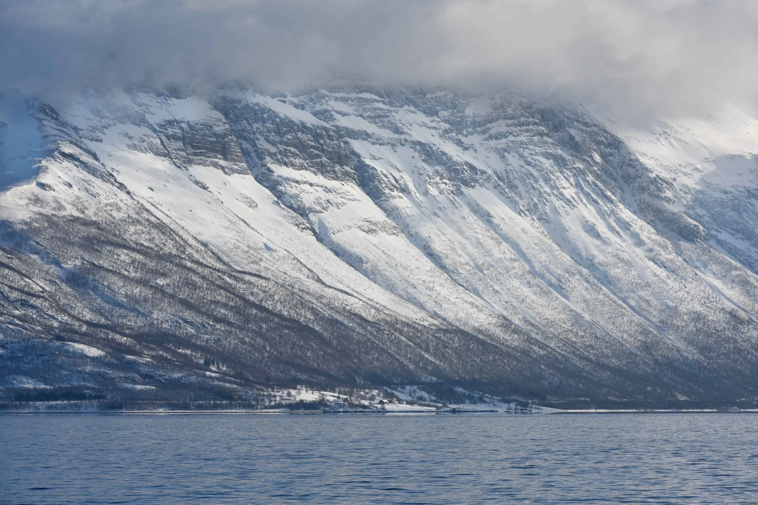 Fjord excursion, Arctic scenery near Tromso, Norway. Image©thingstodot.com