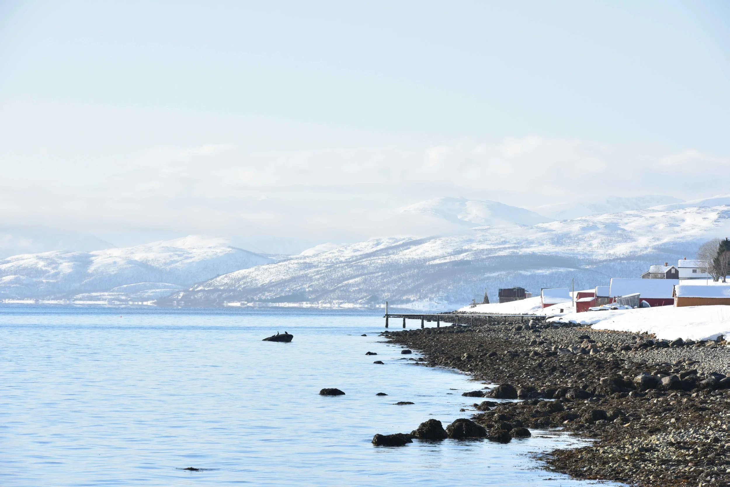 Fjord excursion, Arctic scenery near Tromso, Norway. Image©thingstodot.com
