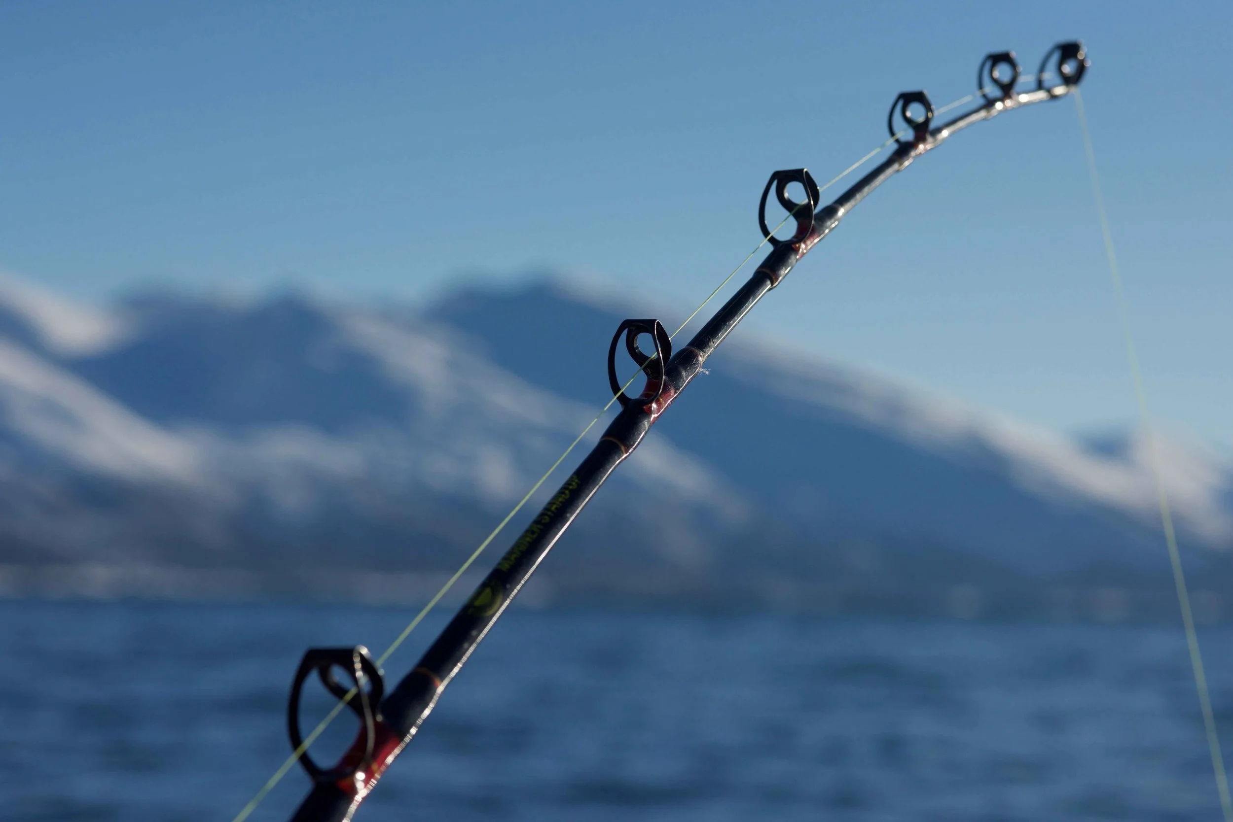 Fishing, Boat cruise, Lyngen fjords, organized by Lyngen Lodge, Arctic Circle, Norway. Image©thingstodot.com