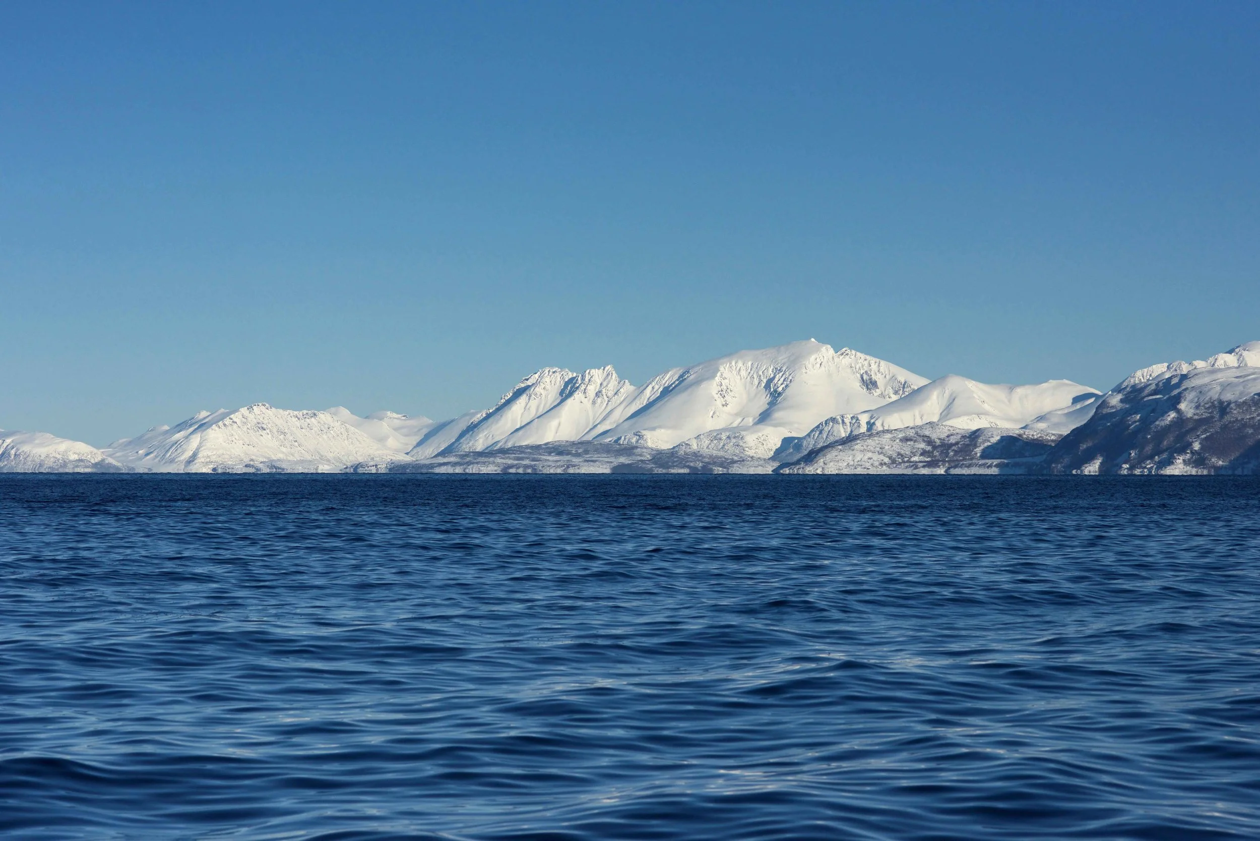 Boat cruise, Lyngen fjords, organized by Lyngen Lodge, Arctic Circle, Norway. Image©thingstodot.com