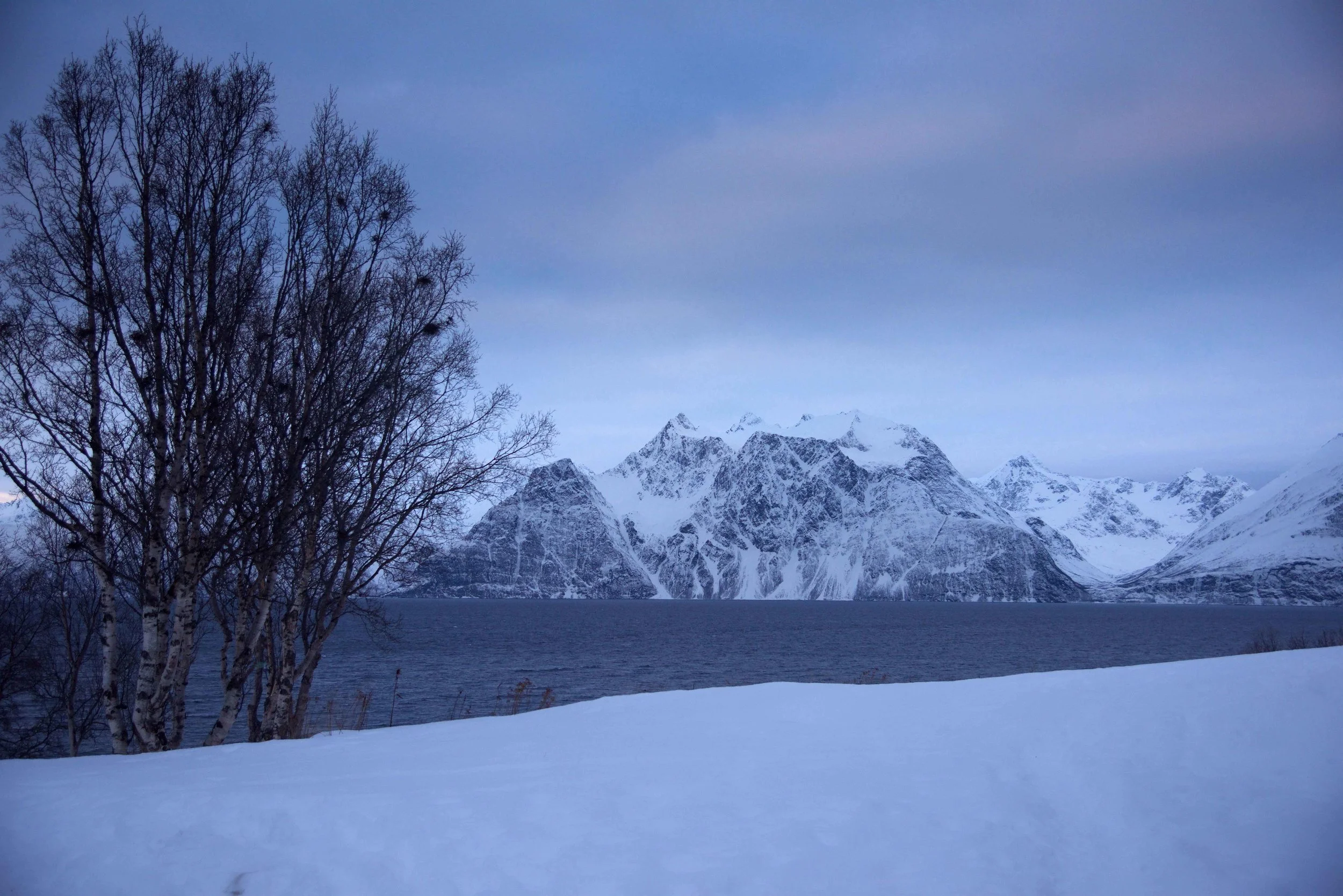 Arctic scenery, Lyngen Alps, Norwegian fjords, Lyngen Lodge, Arctic Circle, Norway. Image©thingstodot.com