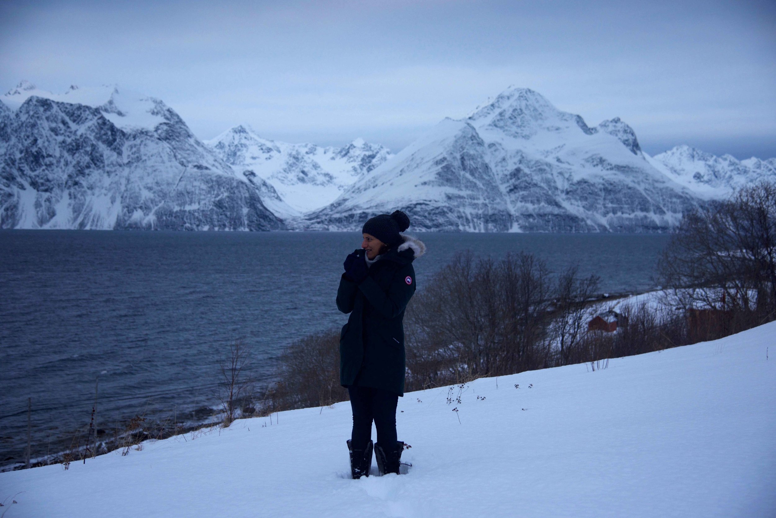 Arctic scenery, Lyngen Alps, Norwegian fjords, Lyngen Lodge, Arctic Circle, Norway. Image©thingstodot.com