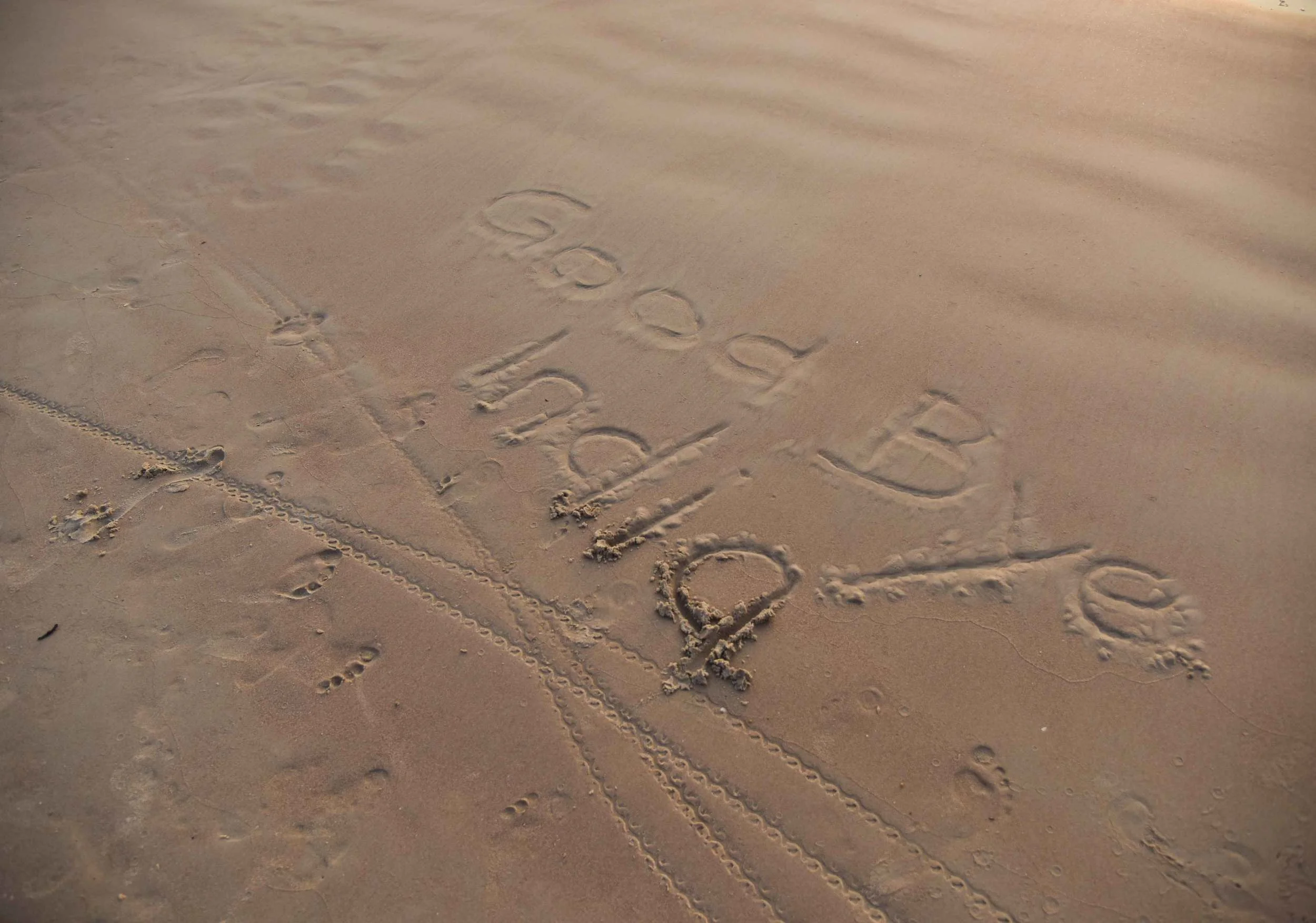 Arossim Beach, Goa, Arabian Sea, India. Image©thingstodot.com