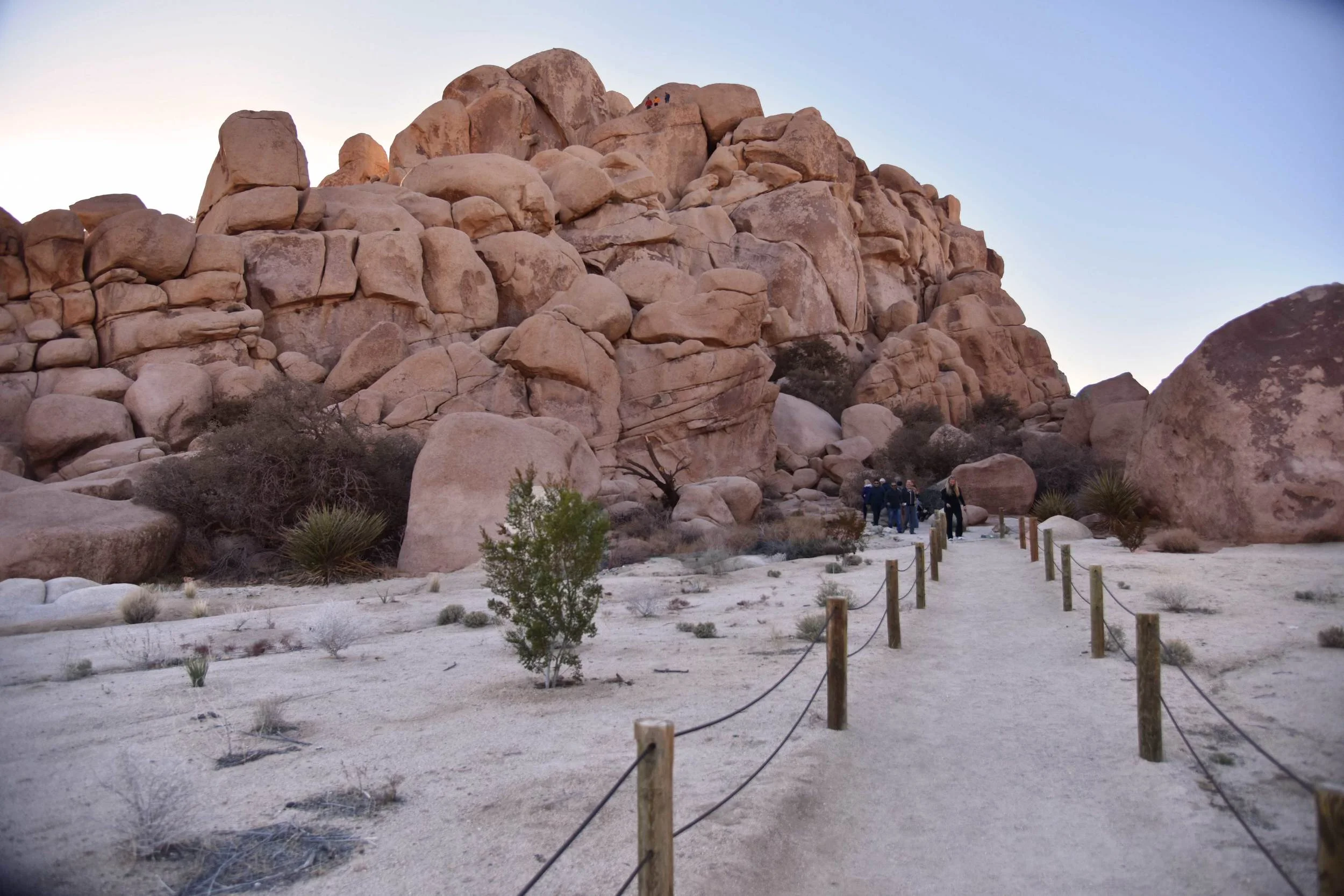 Barker Dam Nature Loop Hike, Joshua Tree National Park, Southern California, USA. Image©thingstodot.com