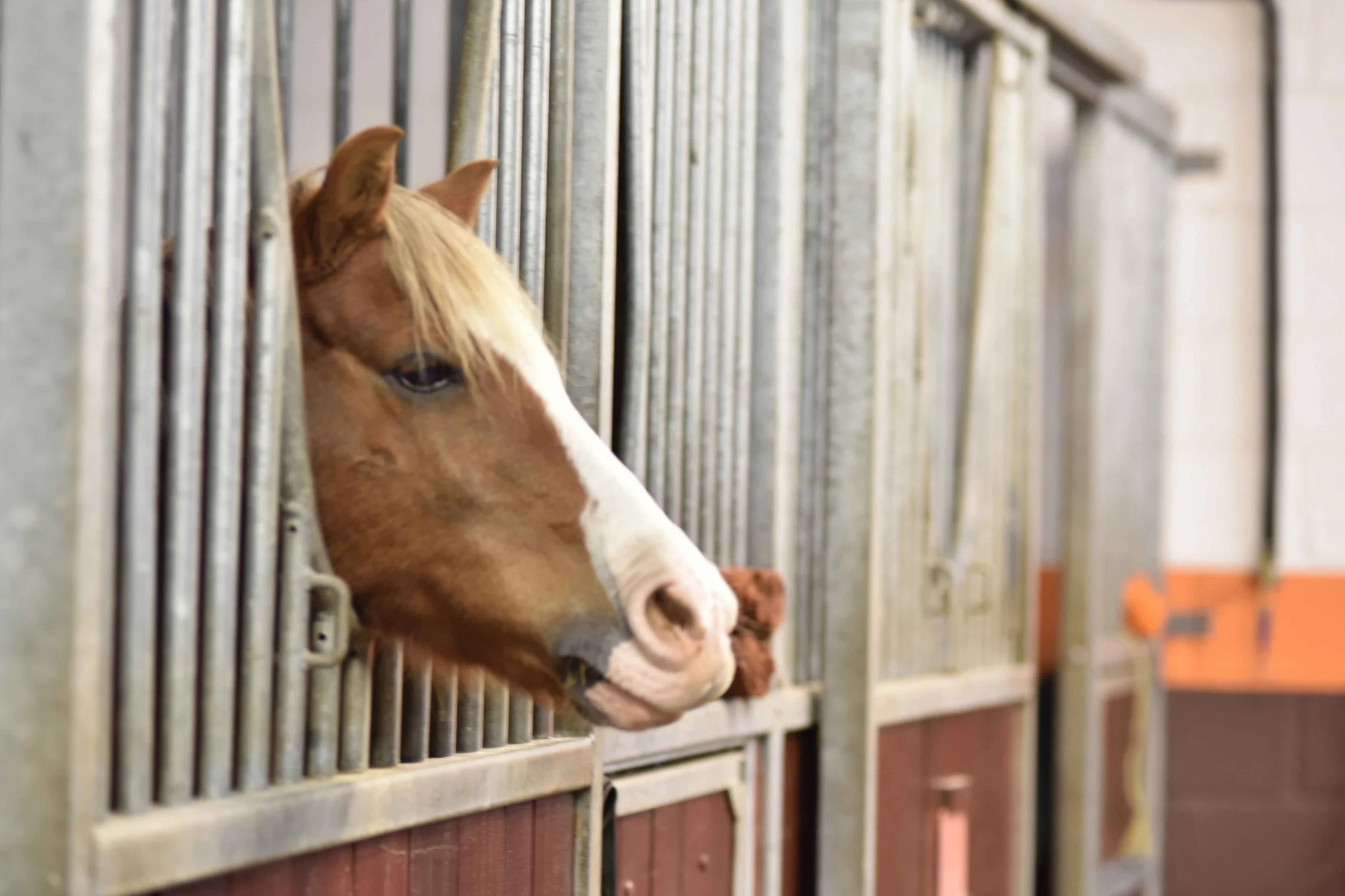 Horse Stables, Coworth Park Hotel & Spa, Ascot, UK. Photo: Nina Shaw. Image©thingstodot.com