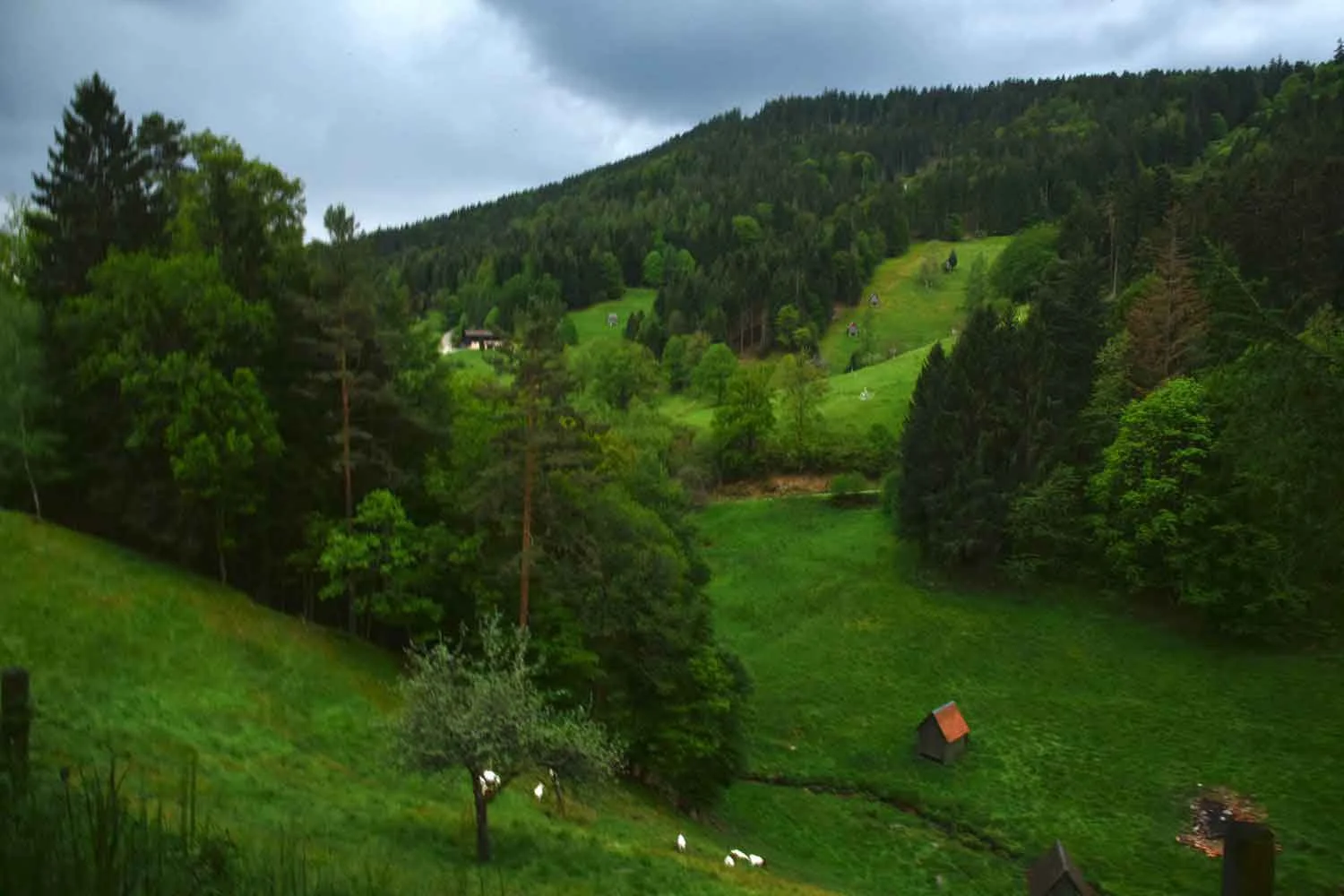 Black Forest Mountains, Germany. Image©thingstodot.com