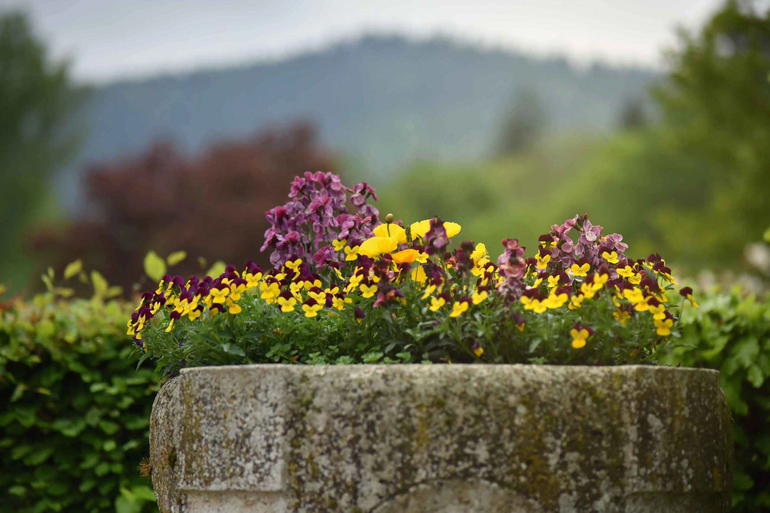 Gönneranlage, Baden Baden, Germany. Image©thingstodot.com