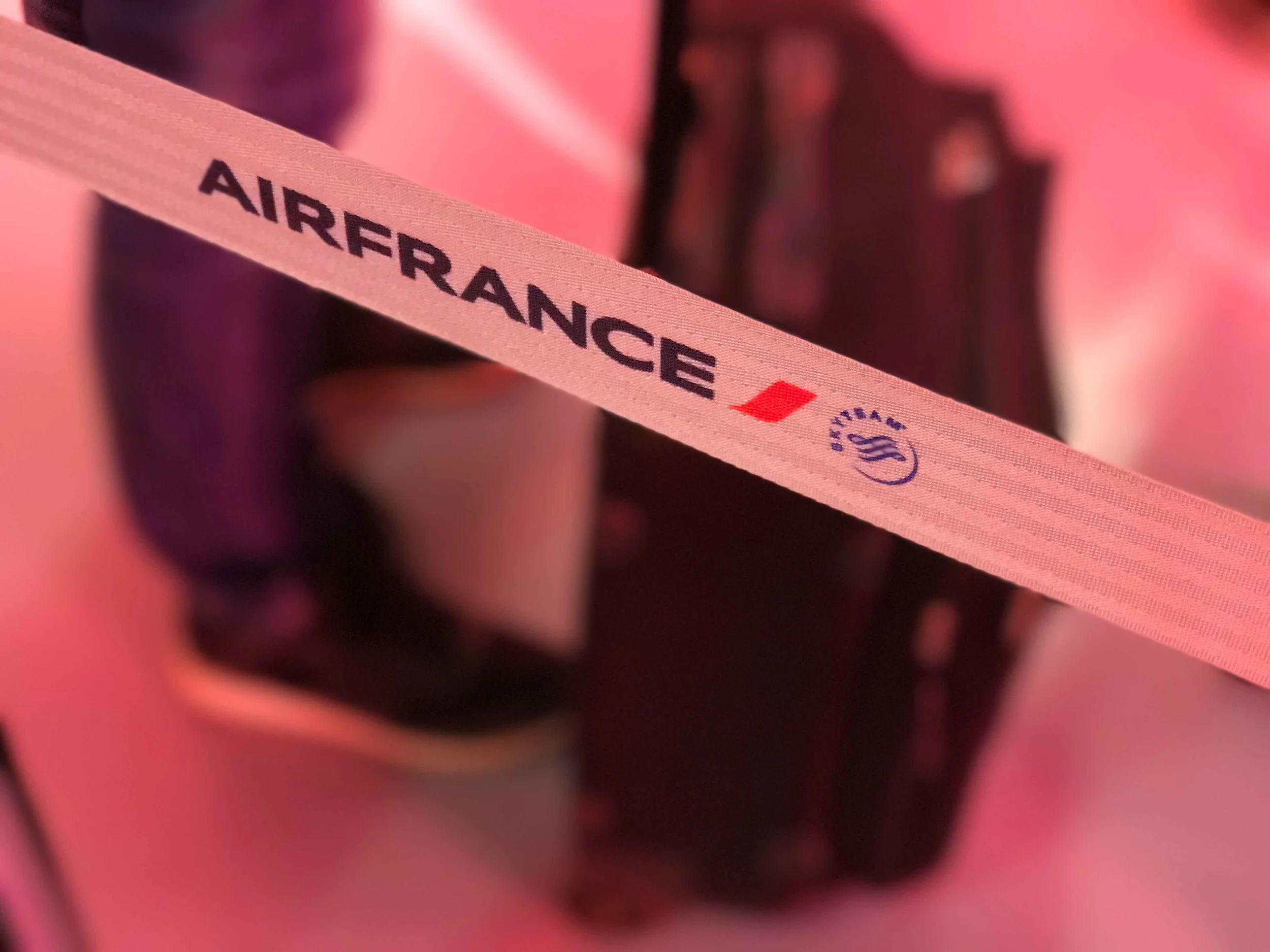 Air France boarding. Image©thingstodot.com