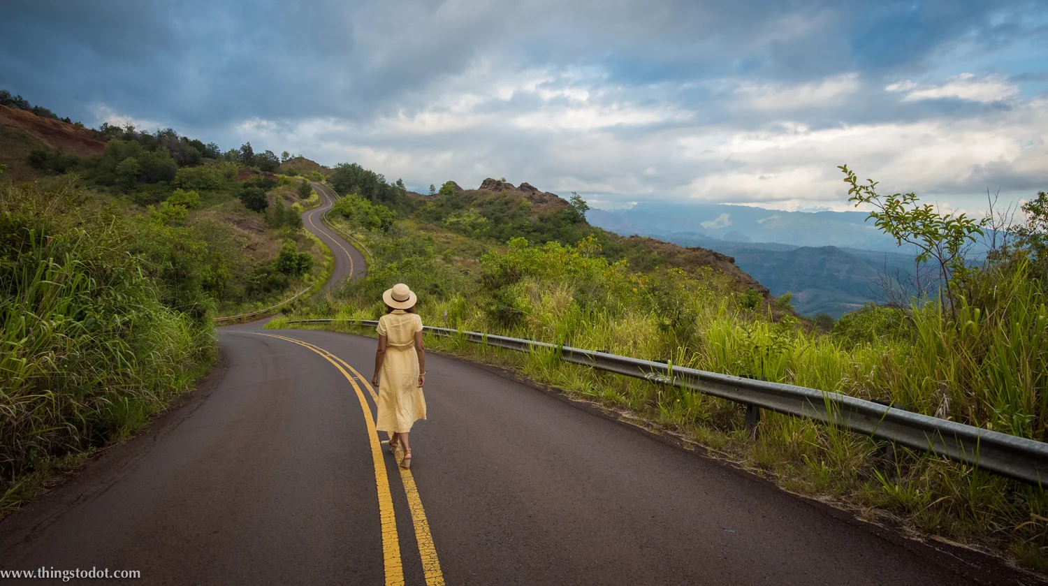 Waimea Canyon Lookout, Kauai, Hawaii. Photo: Patrick Kelley (www.pk-worldwide.com). Image©www.thingstodot.com