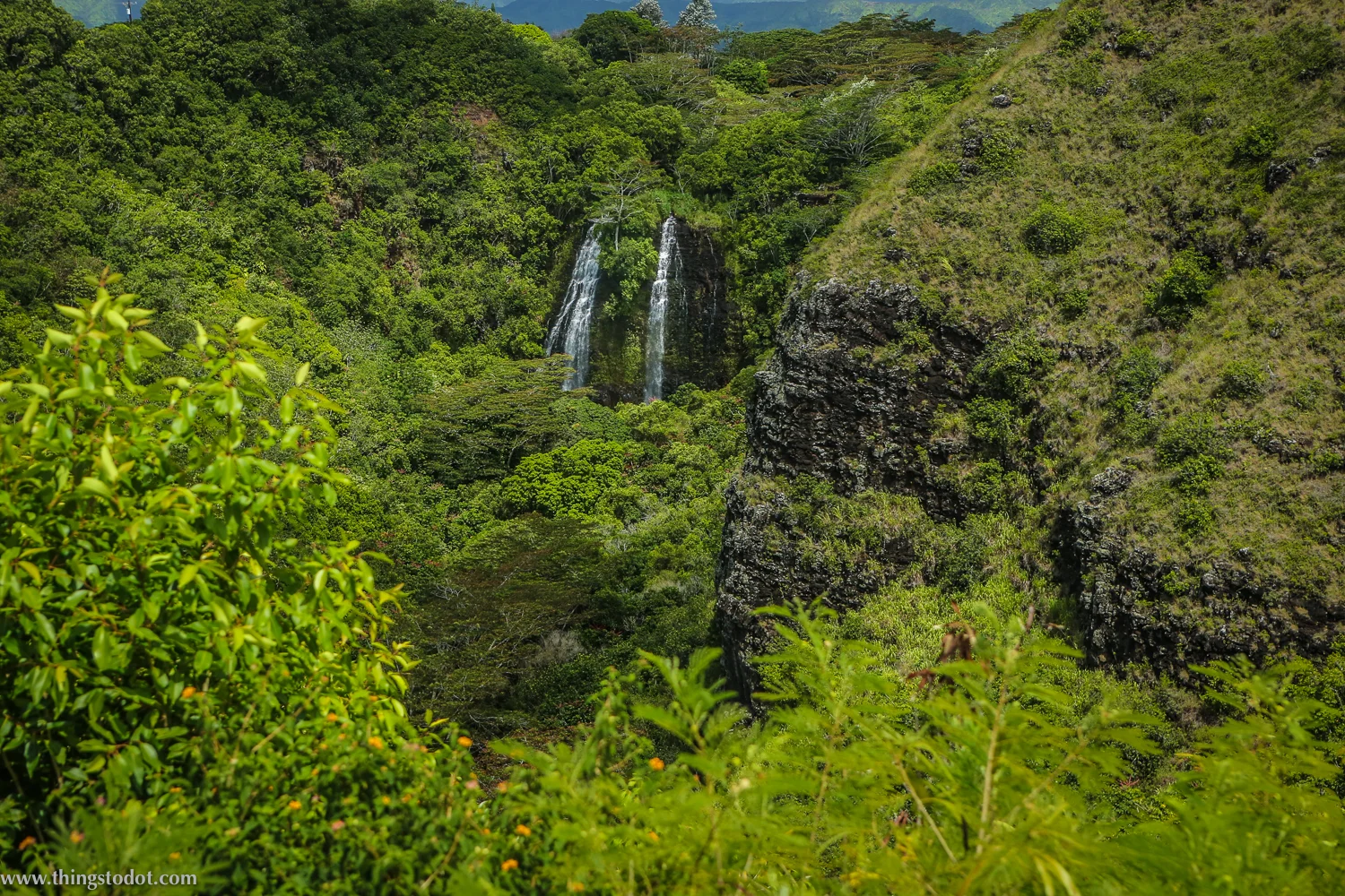Opaeka'a Falls, Kauai, Hawaii. Photo: Jonathan Moeller (www.jmoellerphoto.com). Image©www.thingstodot.com