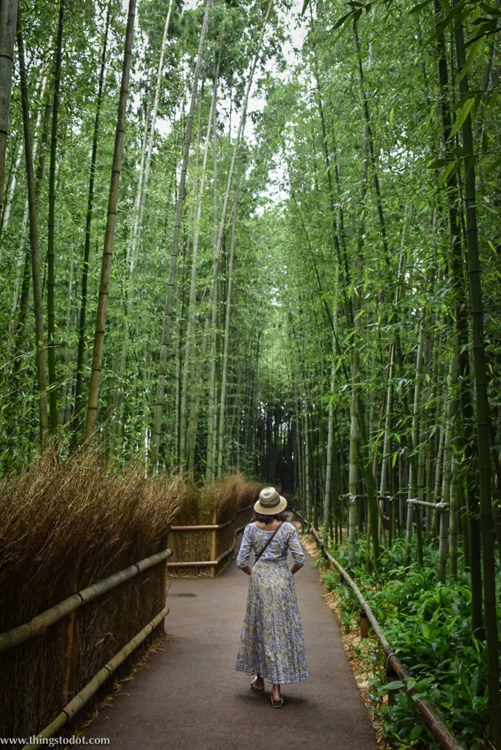 Arashiyama Bamboo Grove, UNESCO World Heritage Site, Kyoto, Japan. Image©www.thingstodot.com