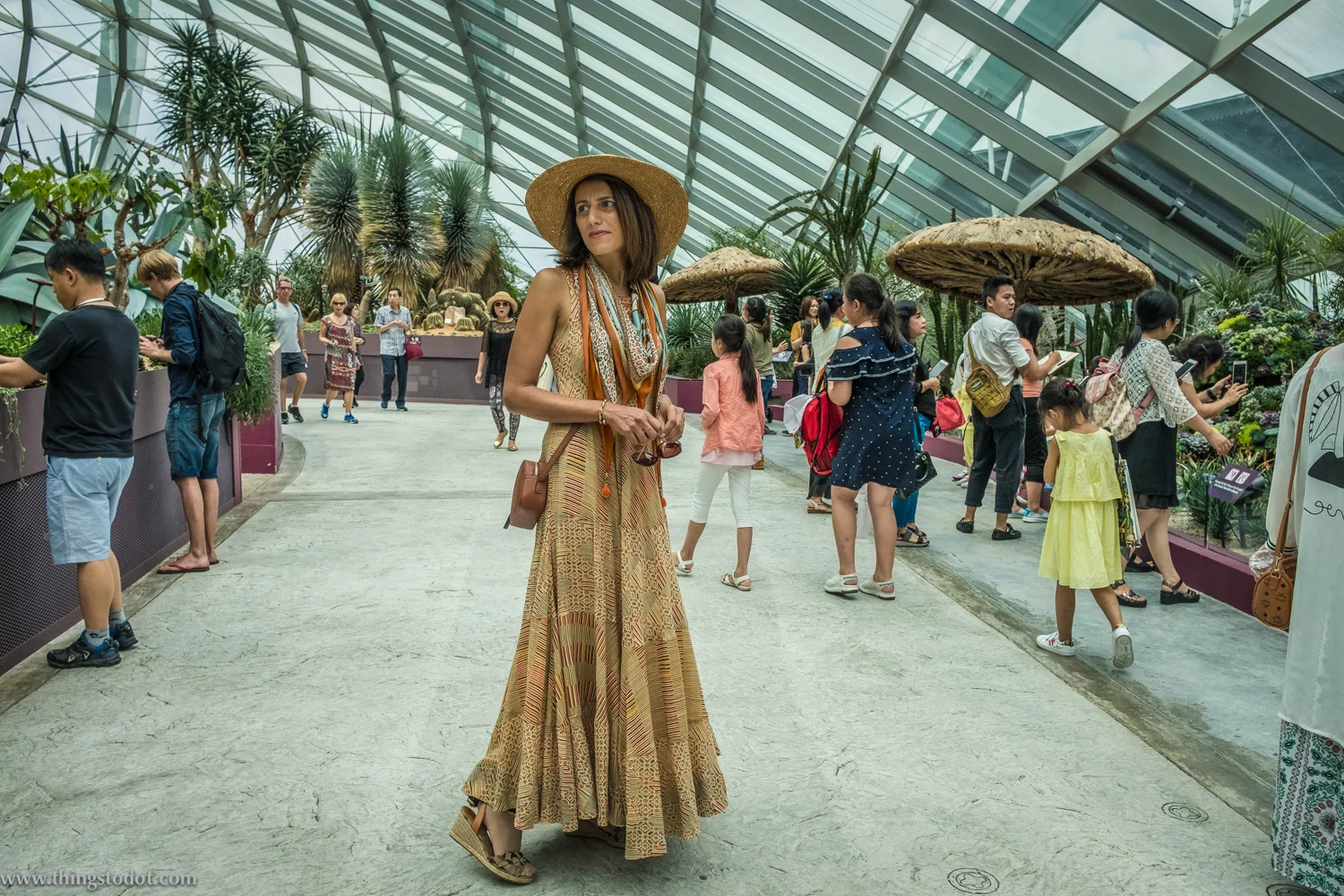 Gardens by the Bay, Singapore. Photo: Aik Beng Chia. Image©www.thingstodot.com.